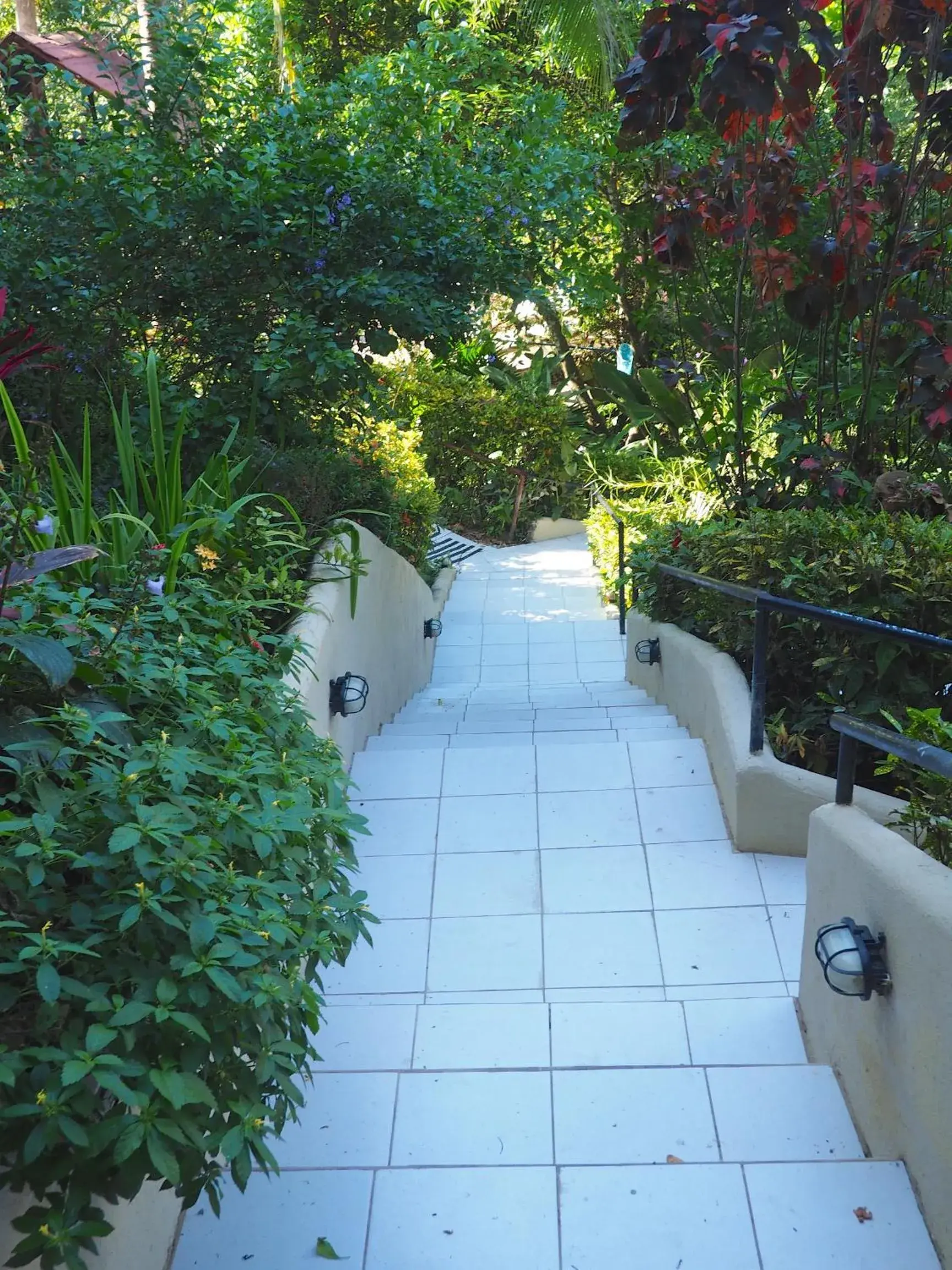 Garden view in Hotel La Colina Garden view in Hotel La Colina