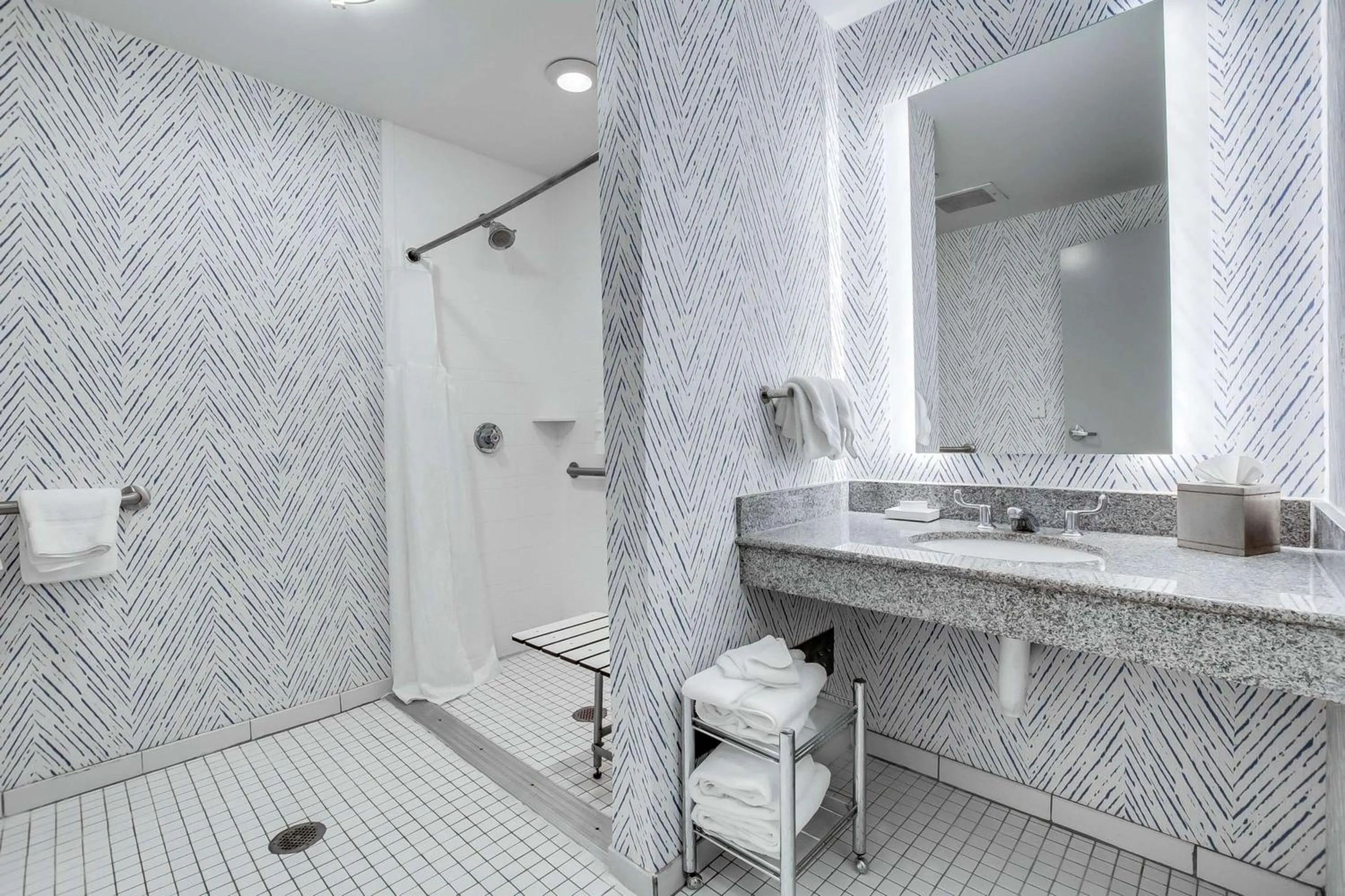 Bathroom in Hilton Garden Inn Louisville-Northeast