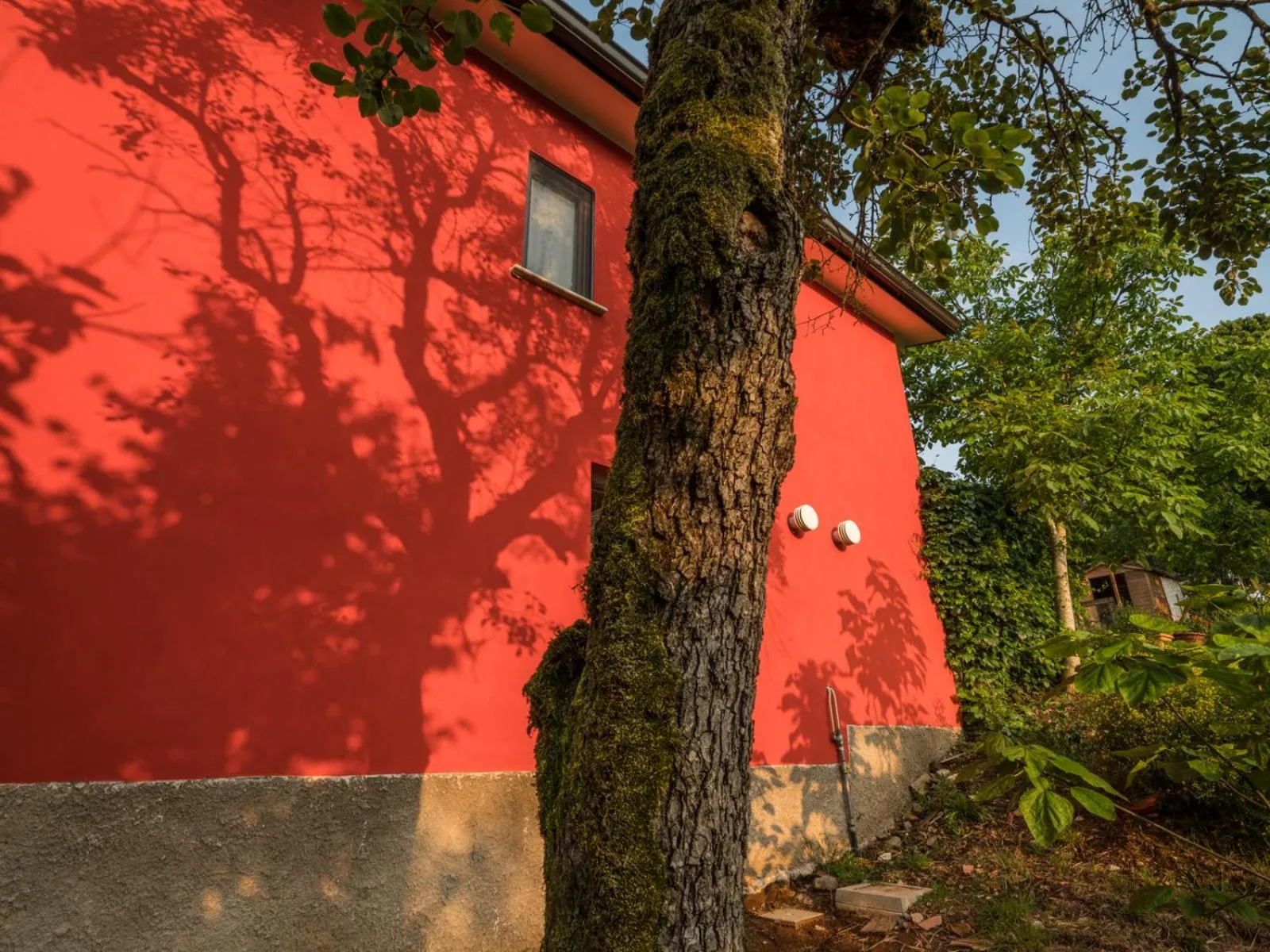 La casetta di richetto