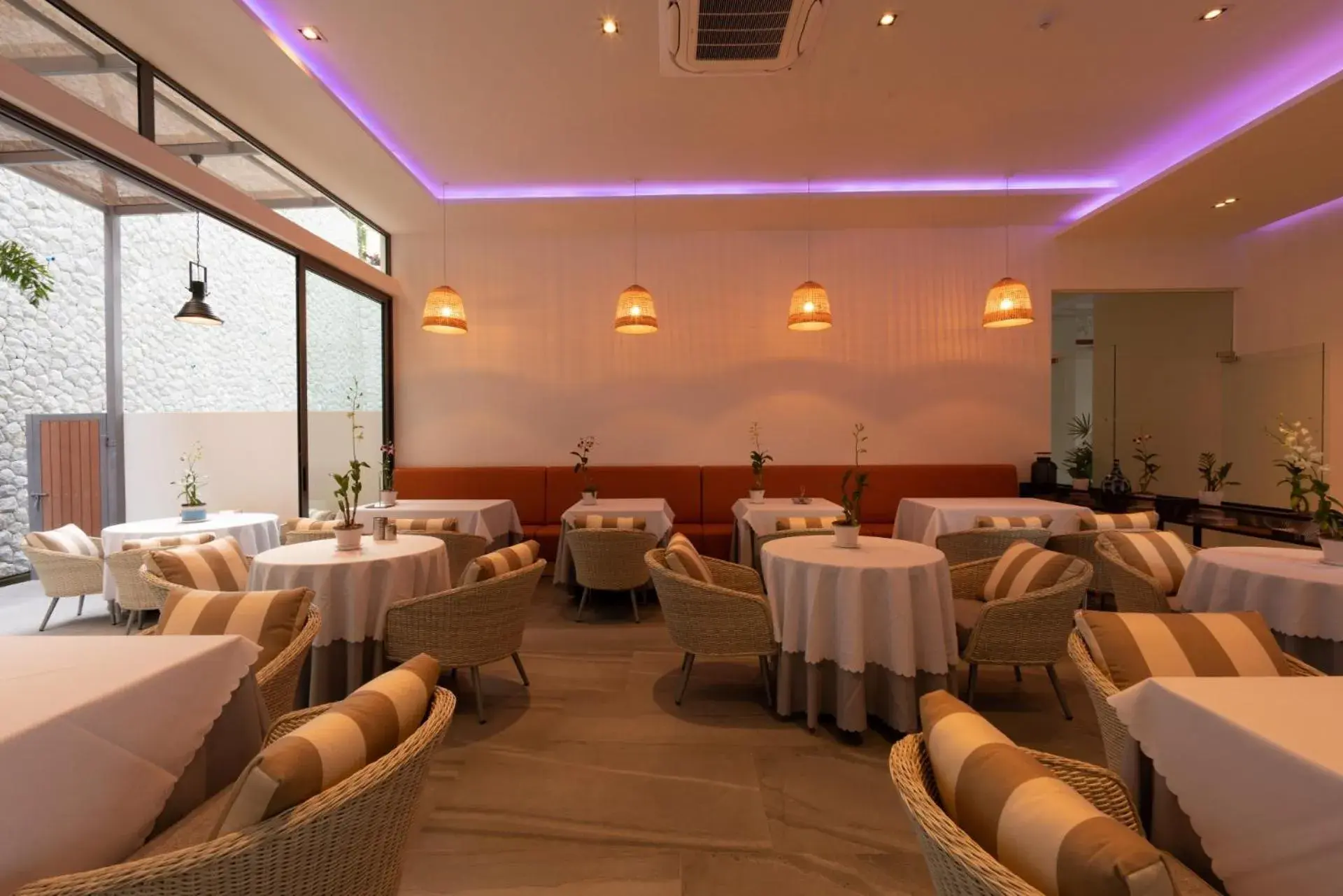 Restaurant/places to eat in Patong Heights Restaurant/places to eat in Patong Heights