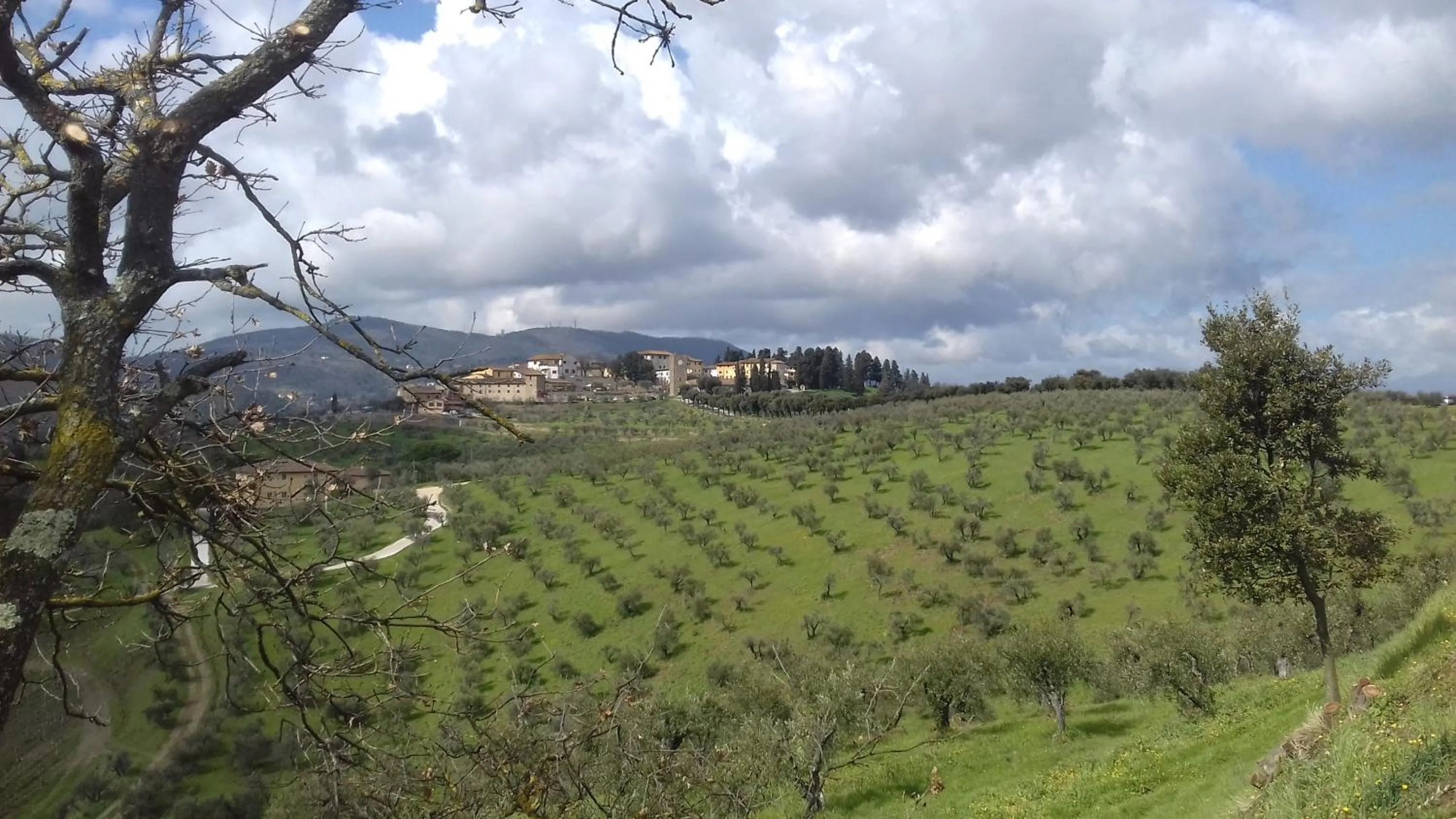 Natural landscape in podere Sanlorenzo