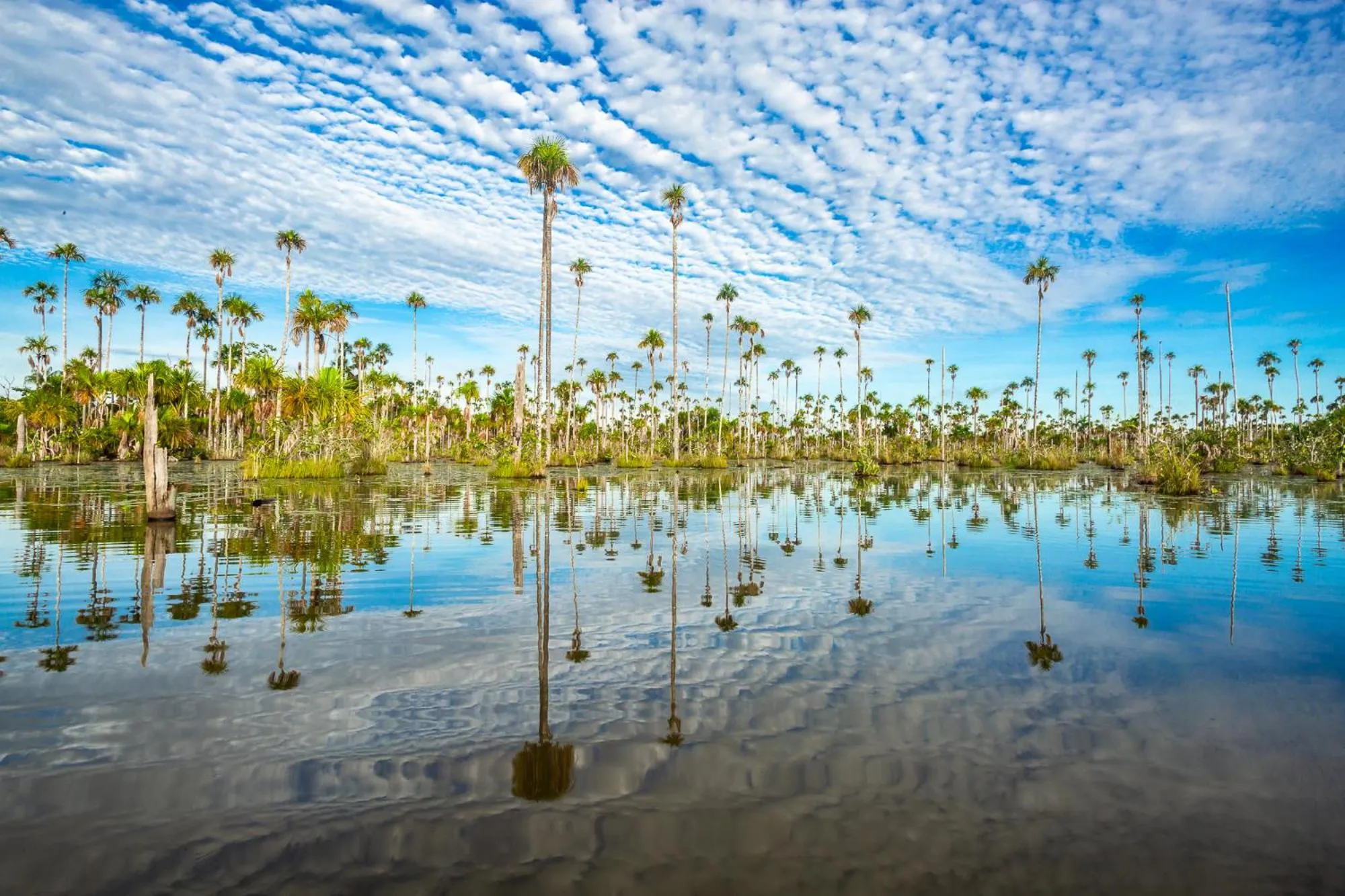 Text overlay in Enai