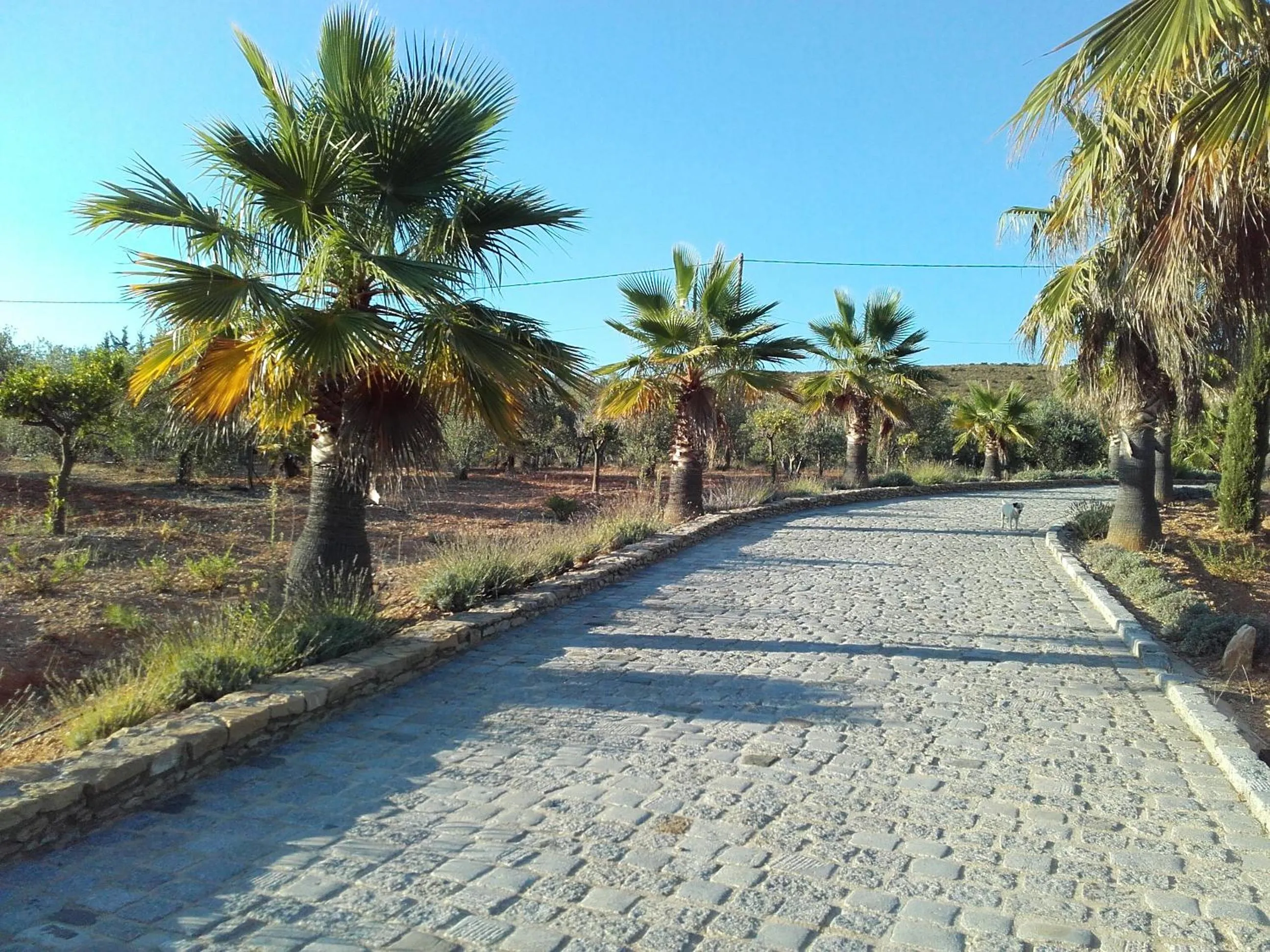 La Bastide de l'Oliveraie