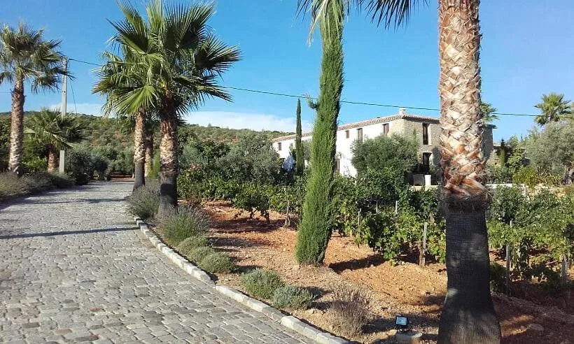 La Bastide de l'Oliveraie