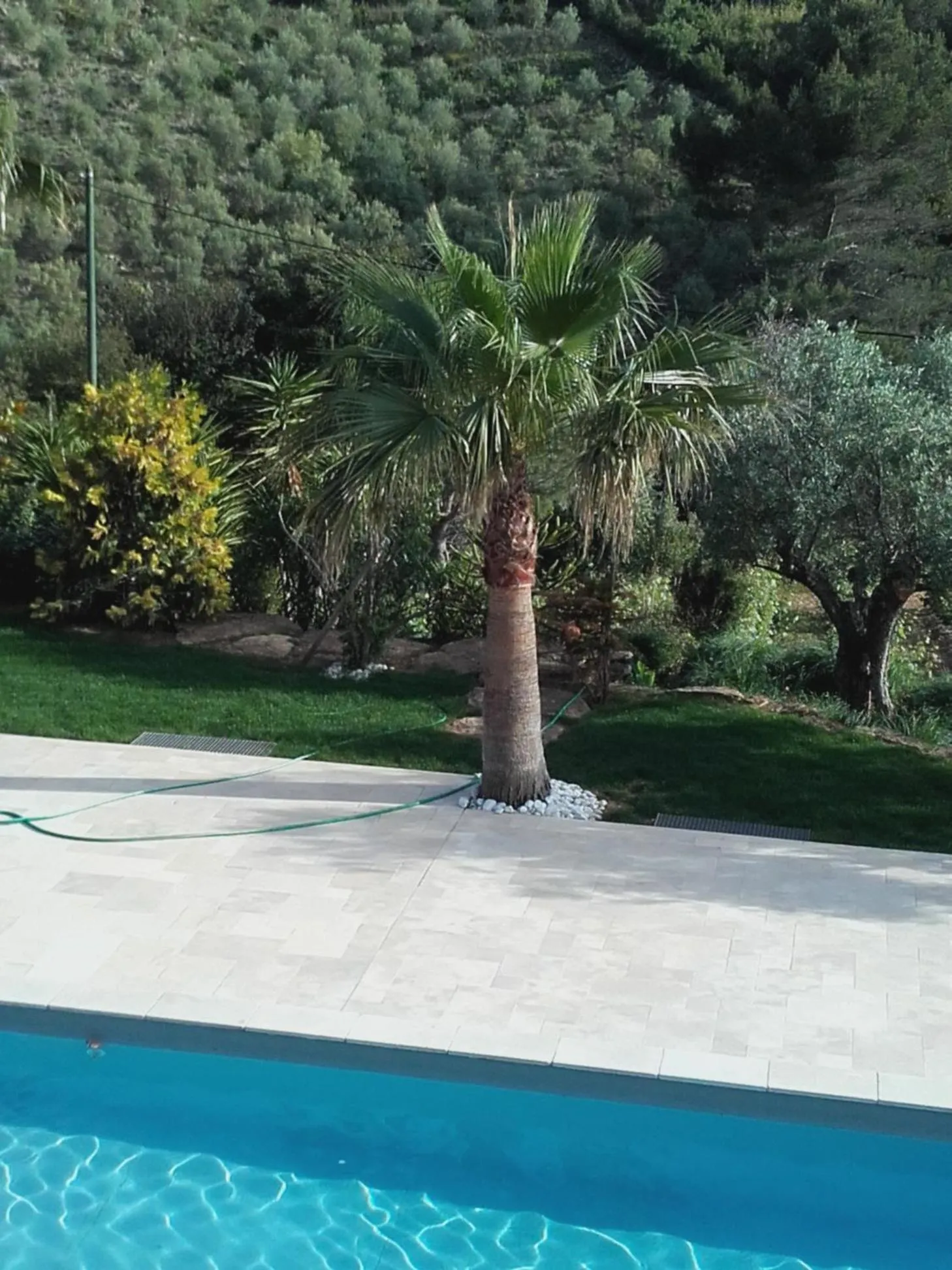Pool view in La Bastide de l'Oliveraie