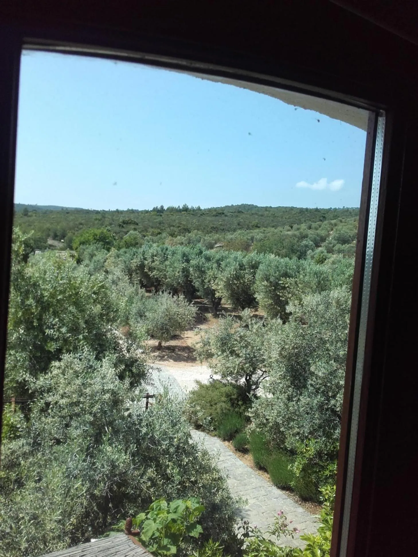 Garden view in La Bastide de l'Oliveraie