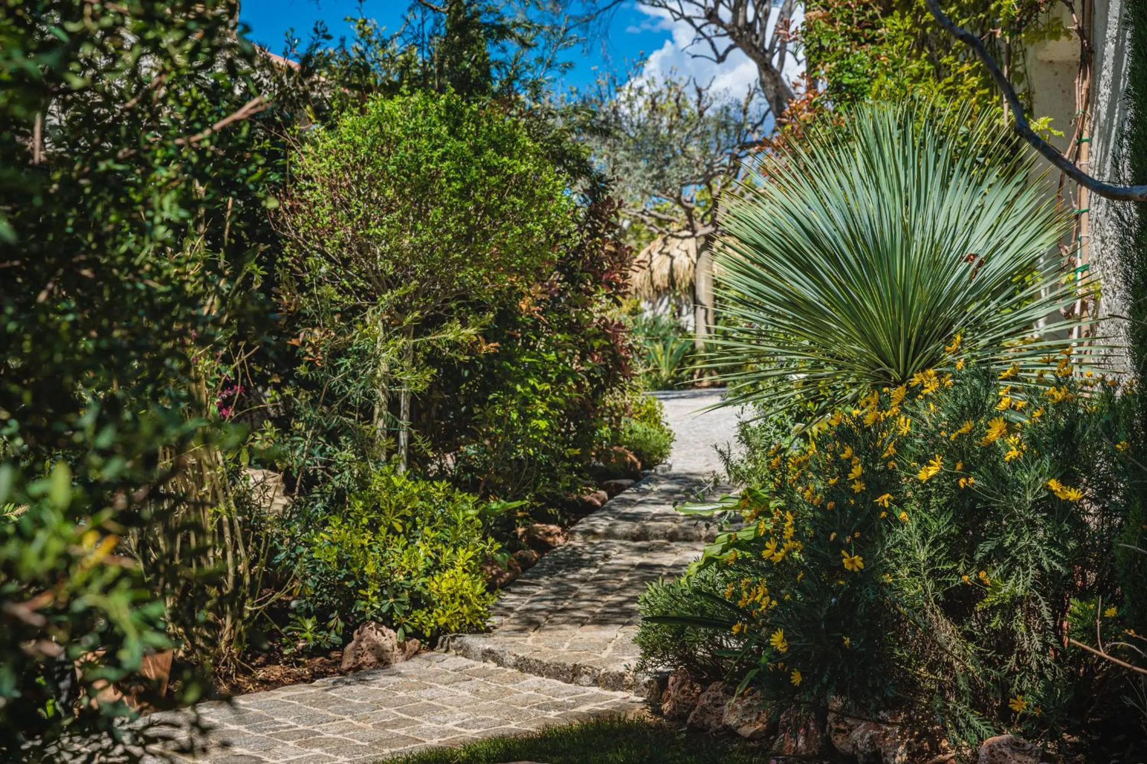 Garden in La Bastide de l'Oliveraie