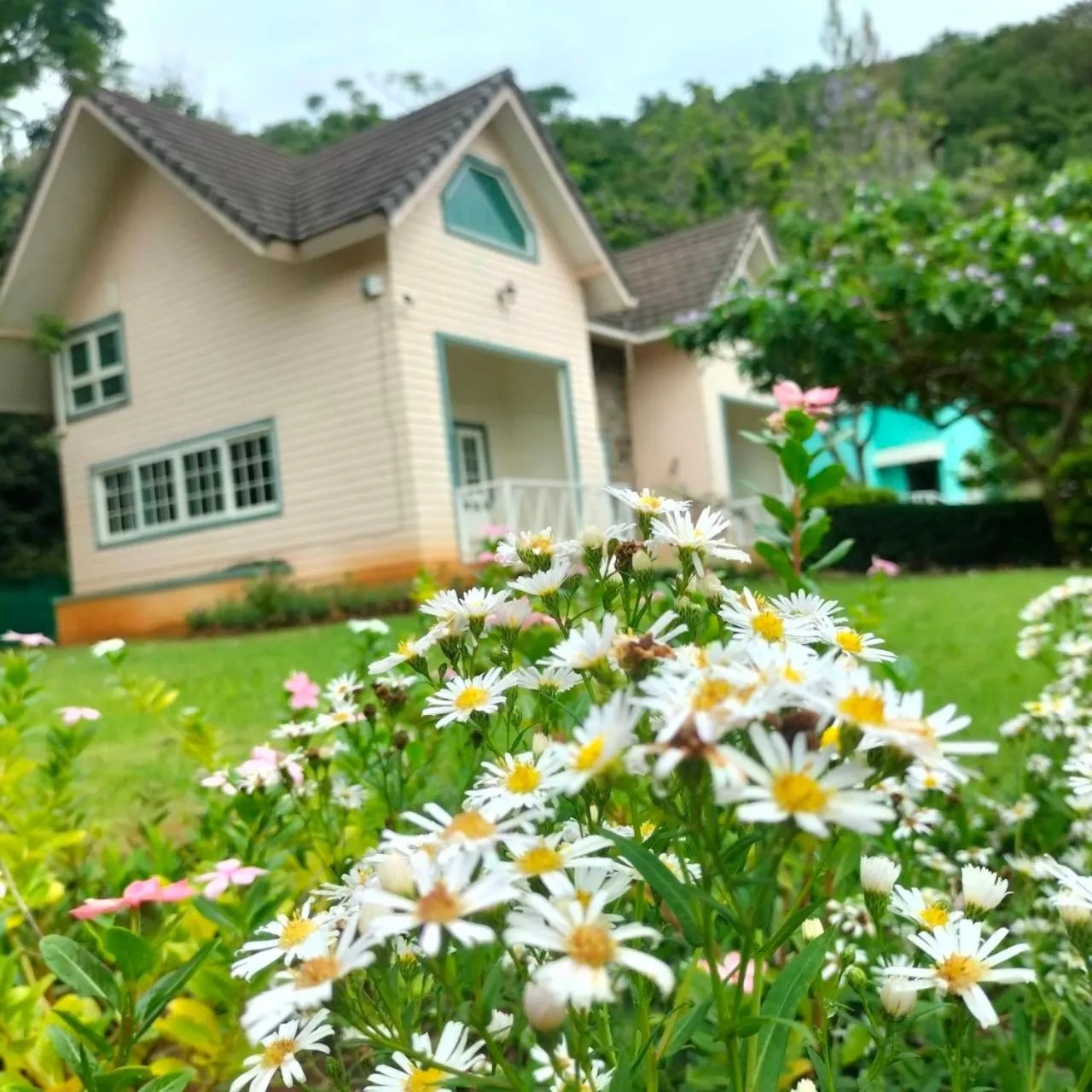 Cottages @ Hill Resort