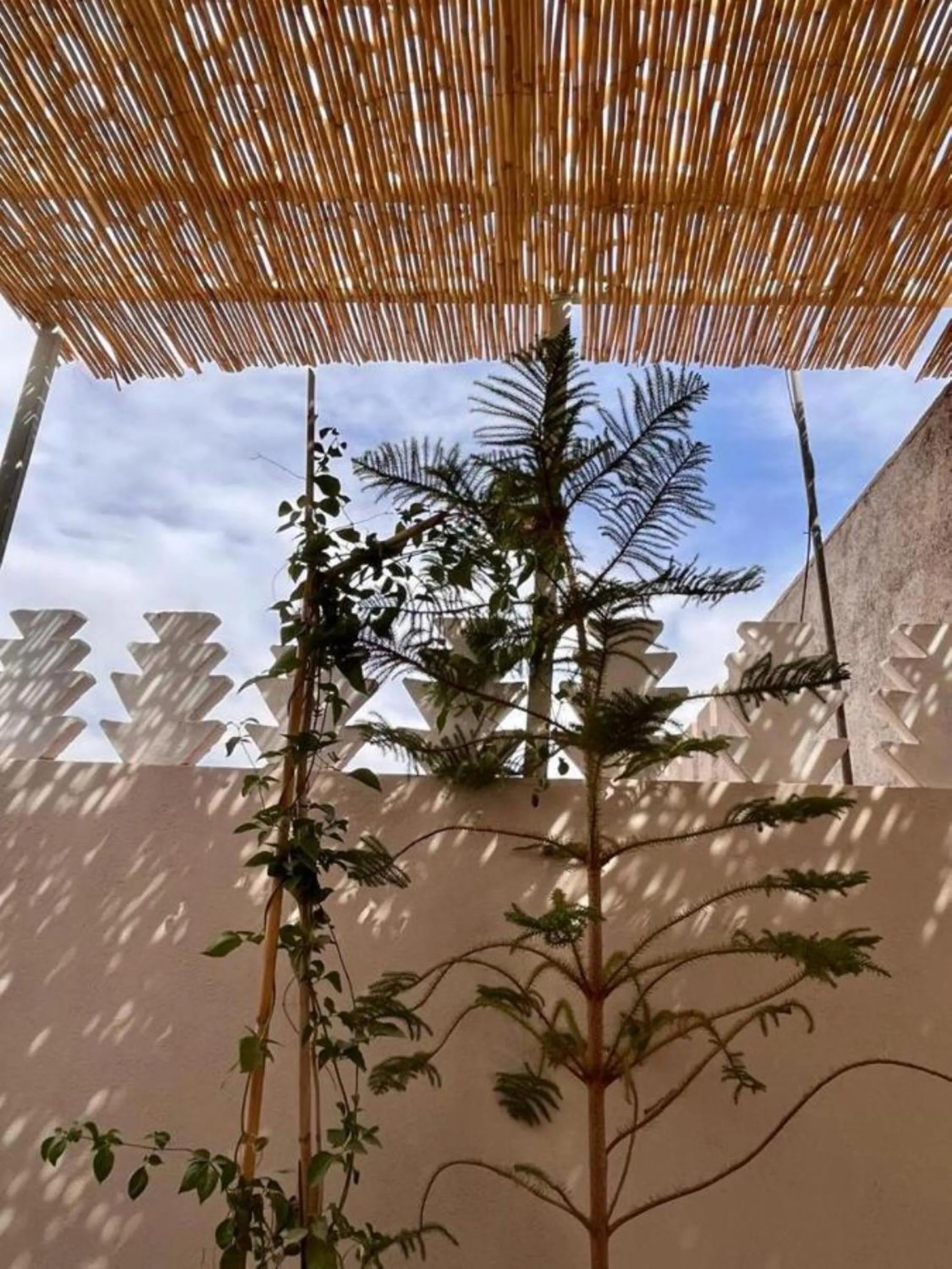 Patio in Riad M17 - Hammam & Spa