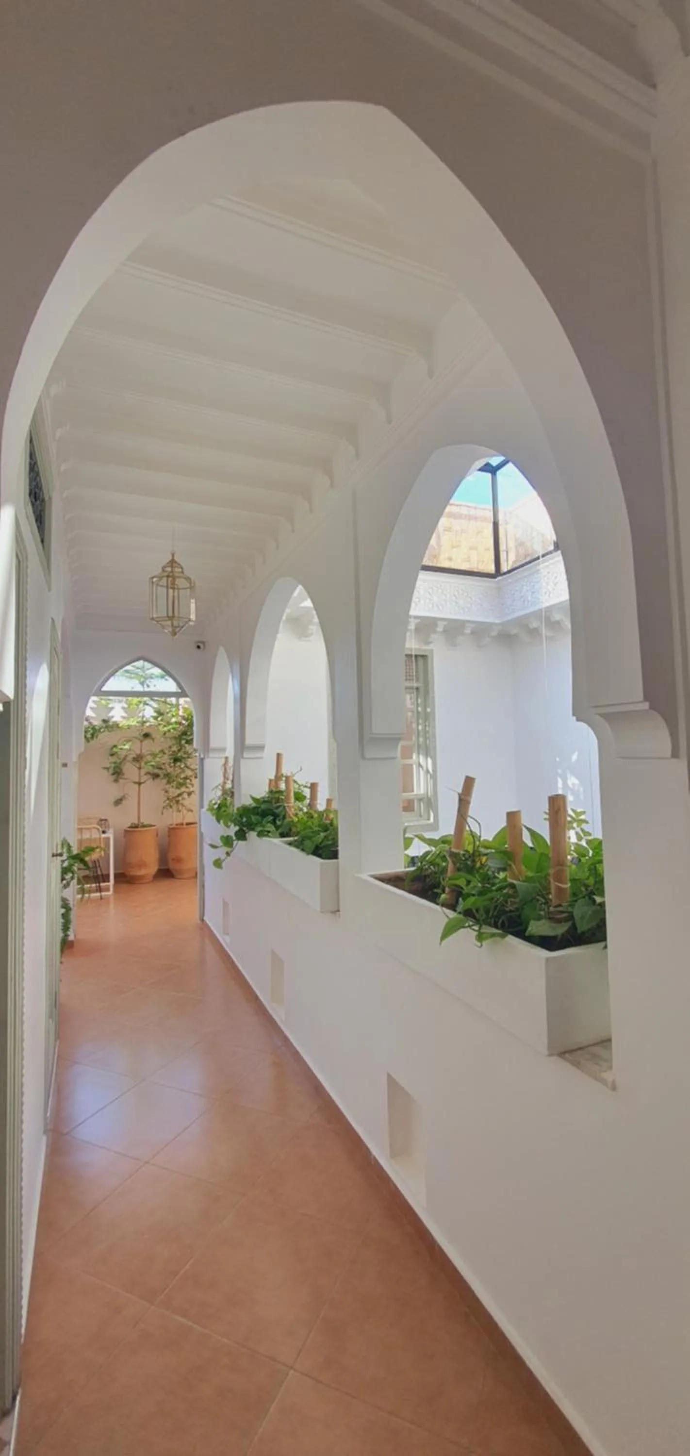 Garden in Riad M17 - Hammam & Spa