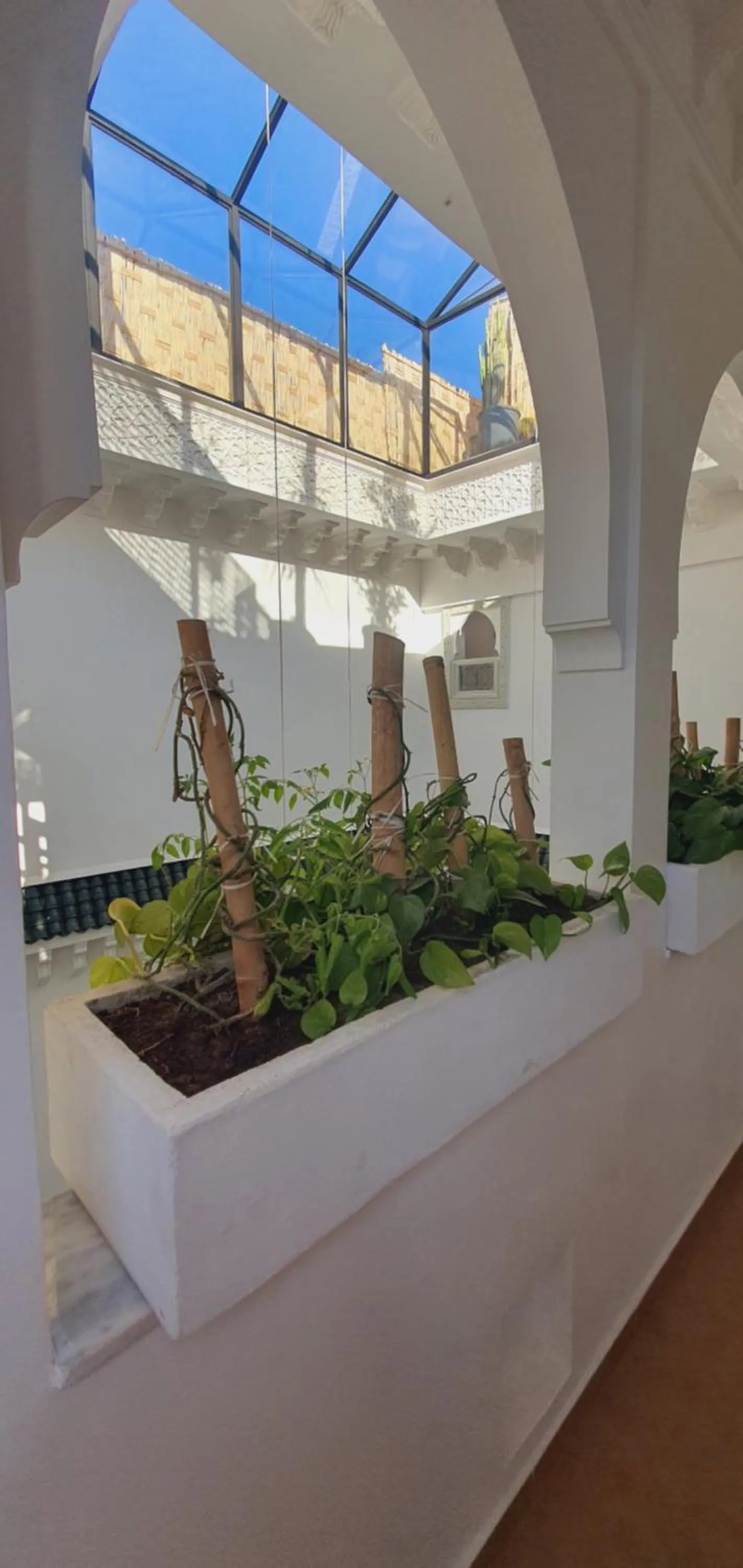 Garden in Riad M17 - Hammam & Spa