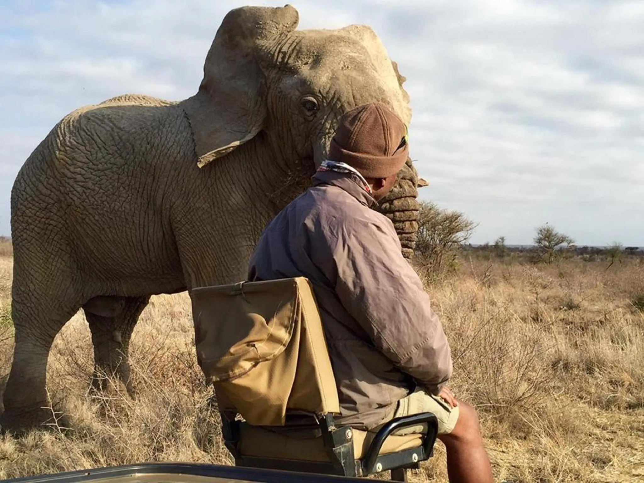 Animals in Madikwe Hills Private Game Lodge