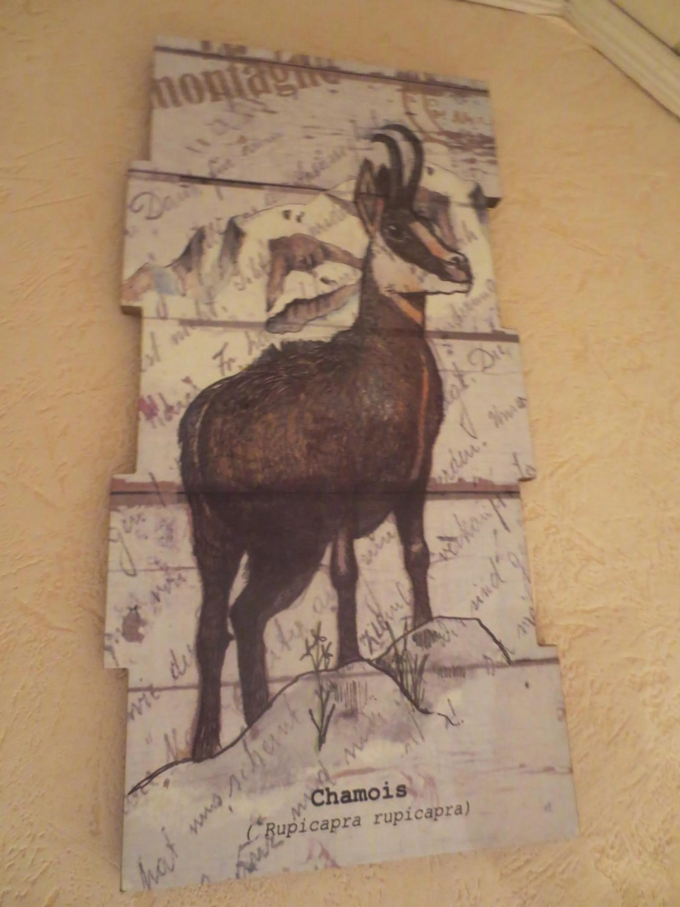 Spring in Hôtel les Deux Cols