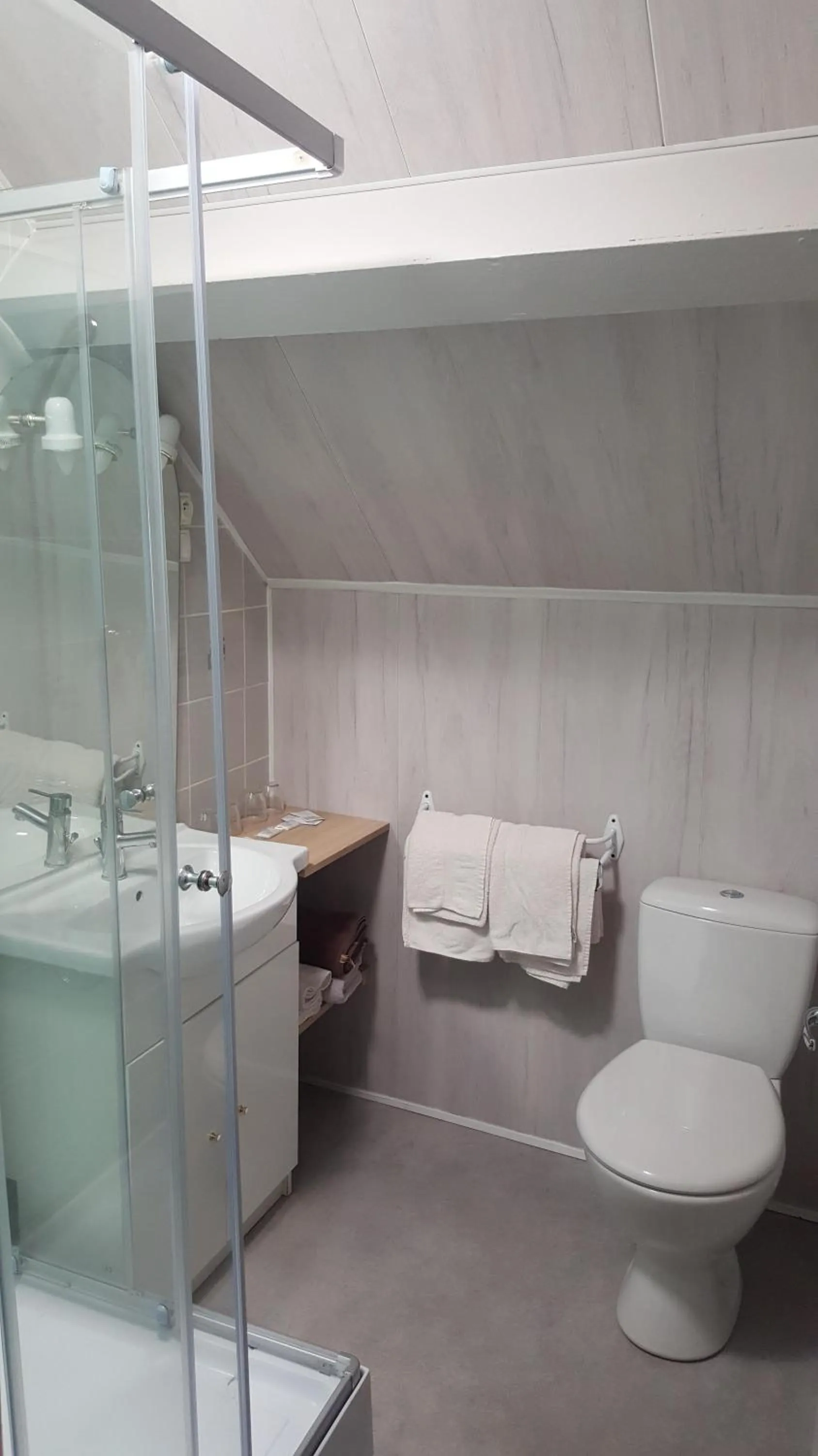 Shower in Hôtel les Deux Cols