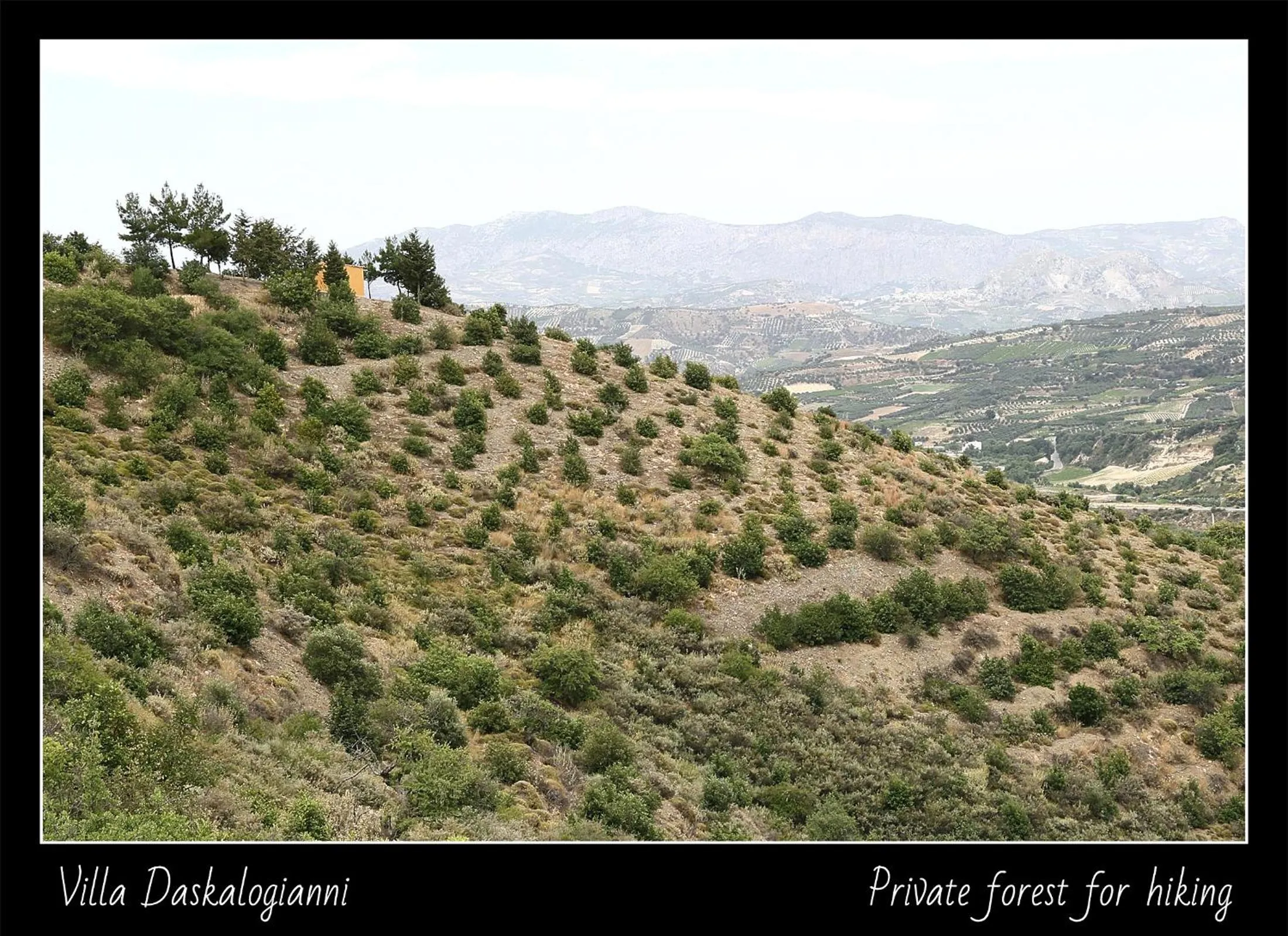 Natural landscape in Villa Daskalogianni