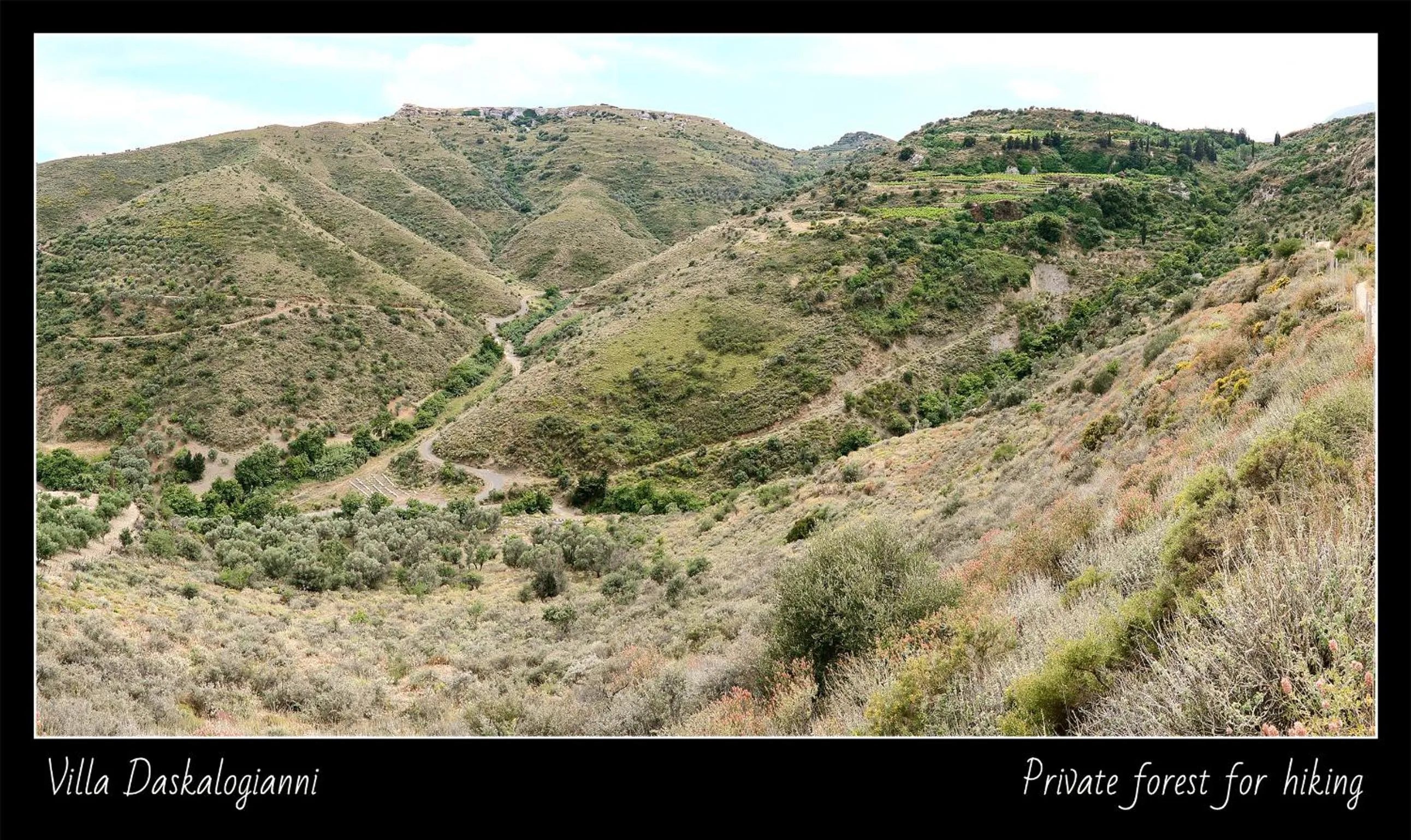 Natural landscape in Villa Daskalogianni