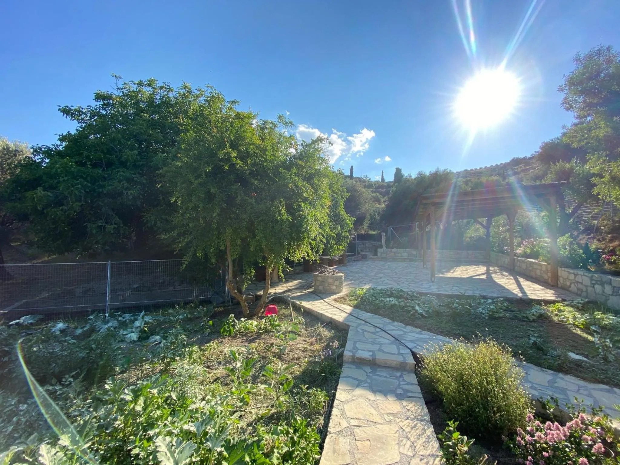 Garden in Villa Daskalogianni