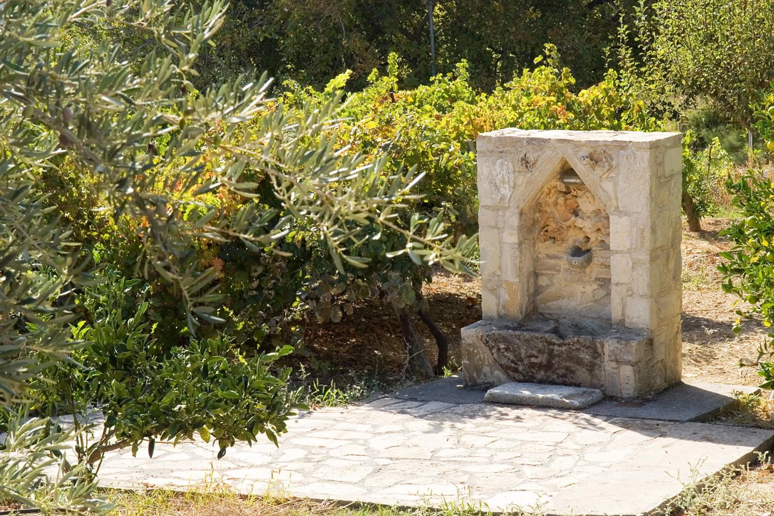 Natural landscape in Villa Daskalogianni