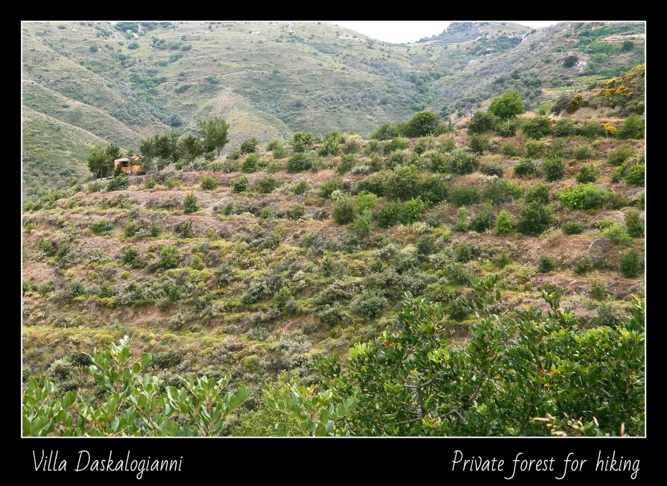Natural landscape in Villa Daskalogianni
