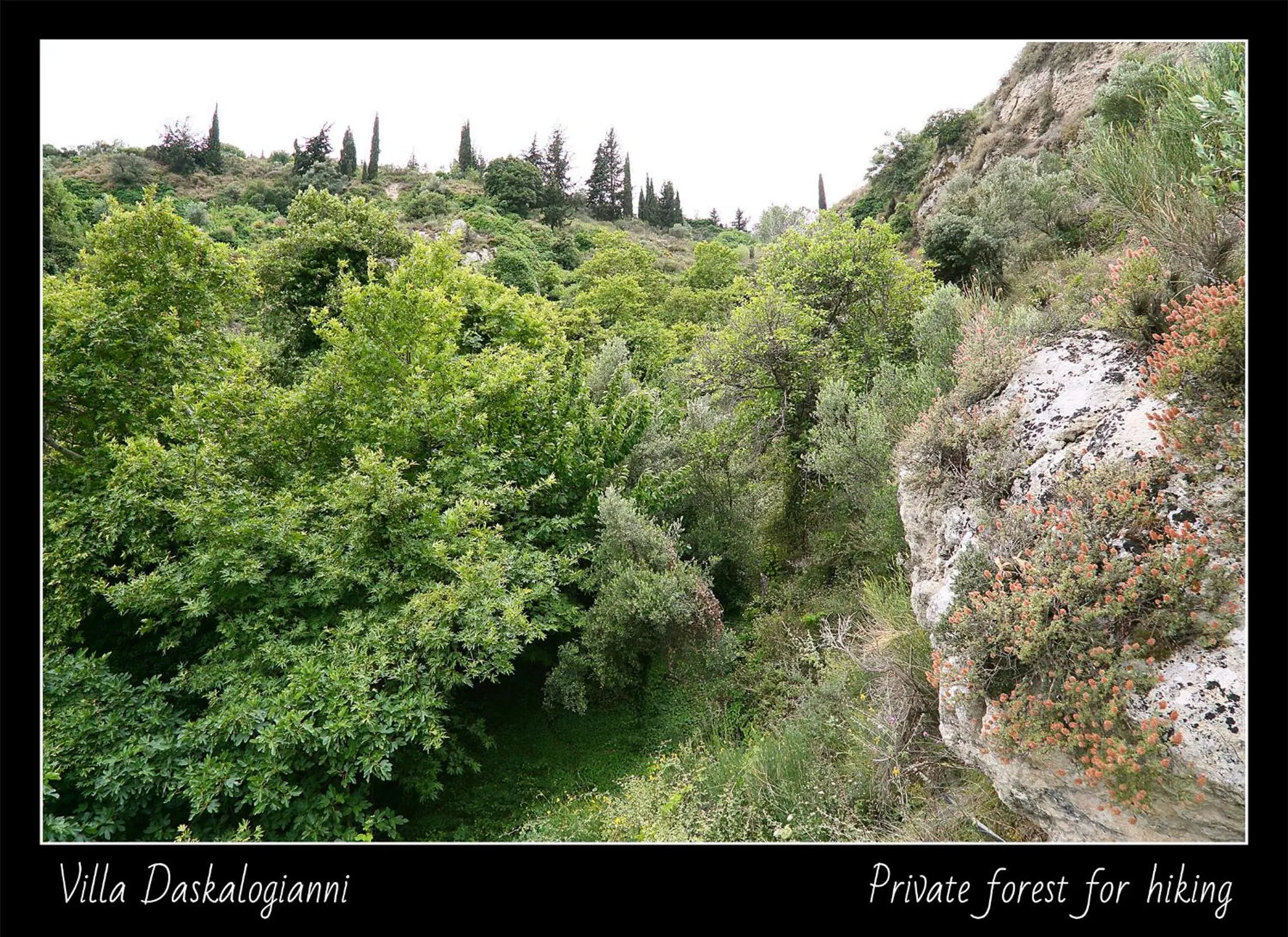 Natural landscape in Villa Daskalogianni