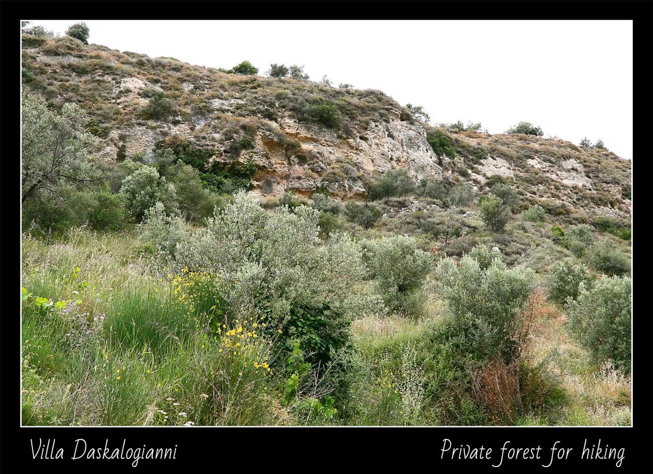 Natural landscape in Villa Daskalogianni