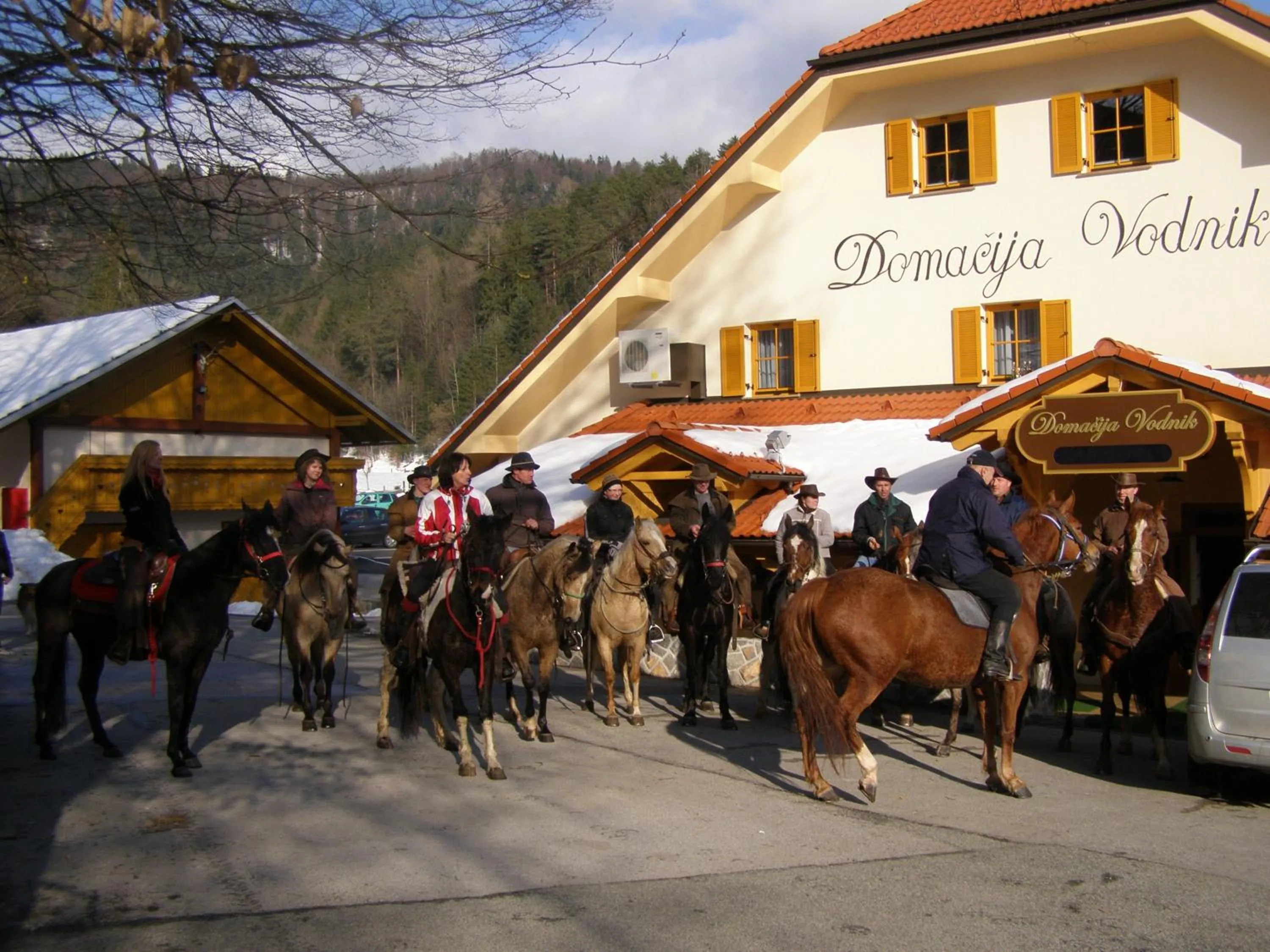 Horse-riding in Domačija Vodnik & Apartments