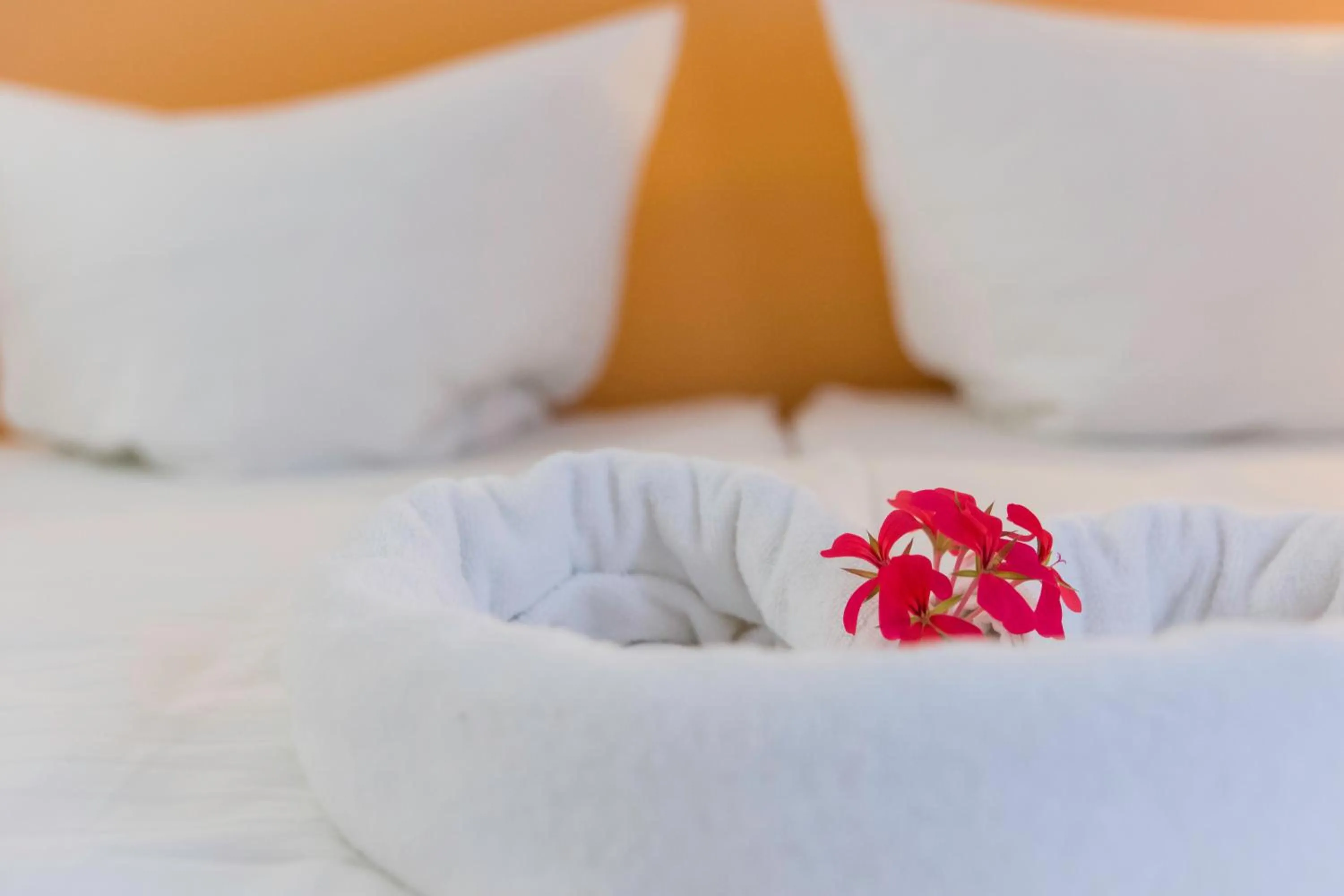Bed in Domačija Vodnik & Apartments