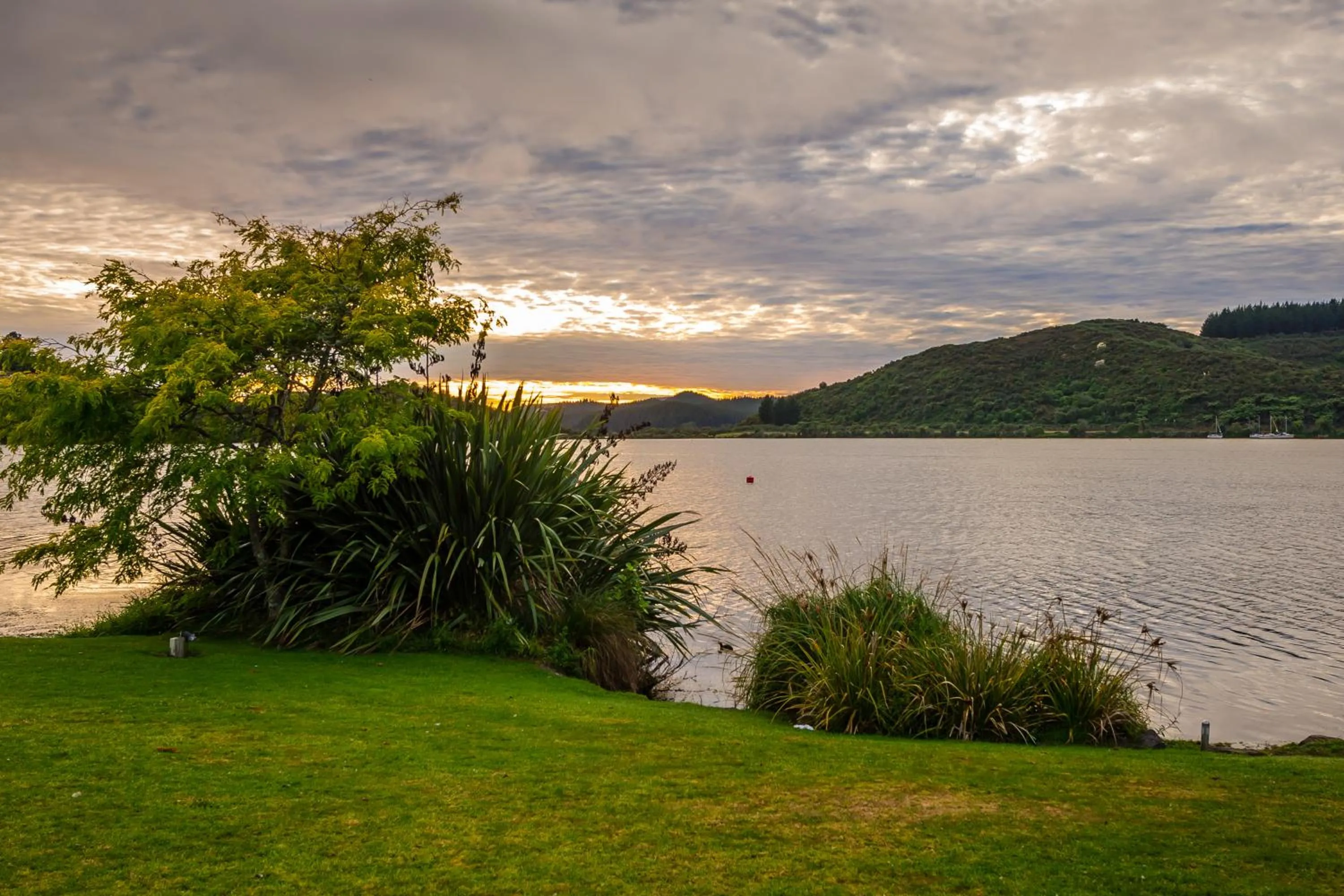 Natural landscape in VR Rotorua Lake Resort