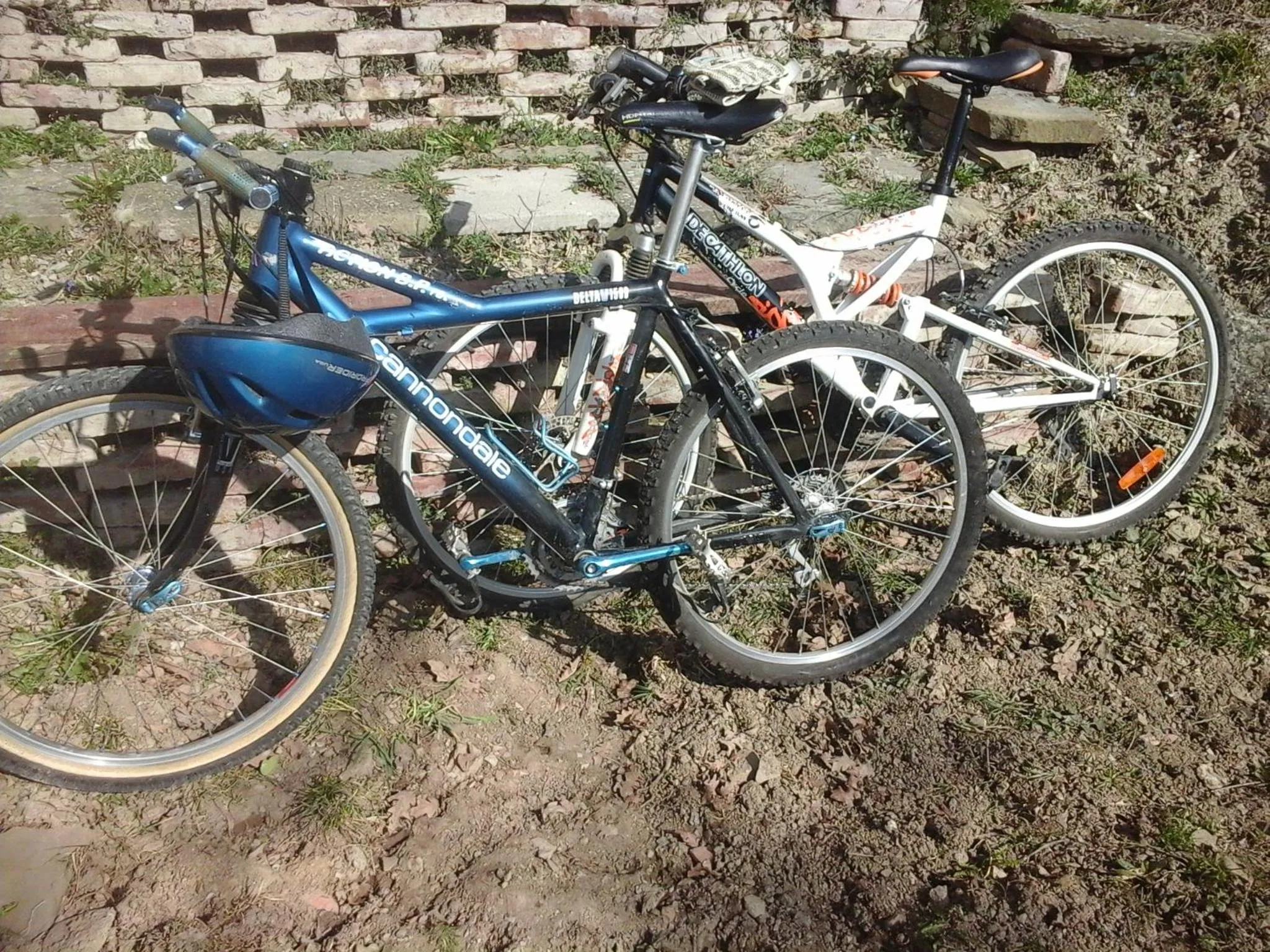 Activities in B&B Borgo del Fornello