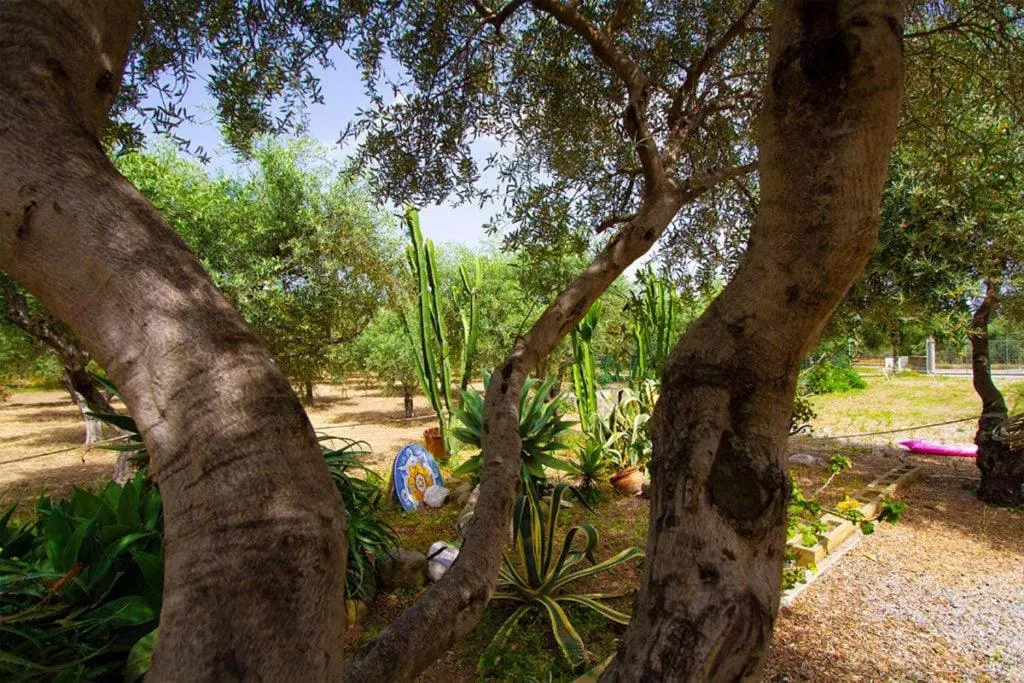 Spring in Medimare Residence Club