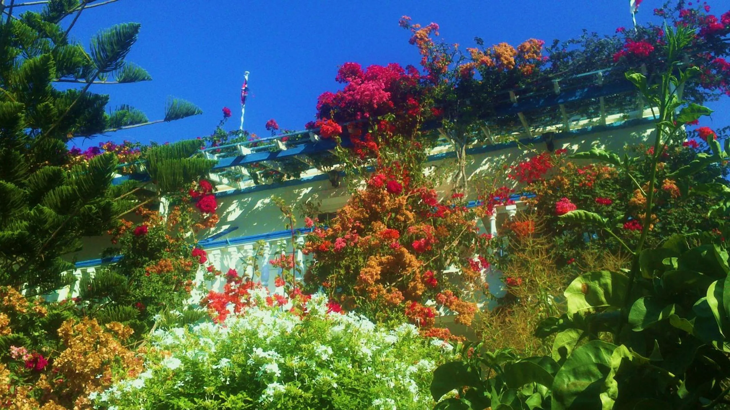 Facade/entrance in Angelika