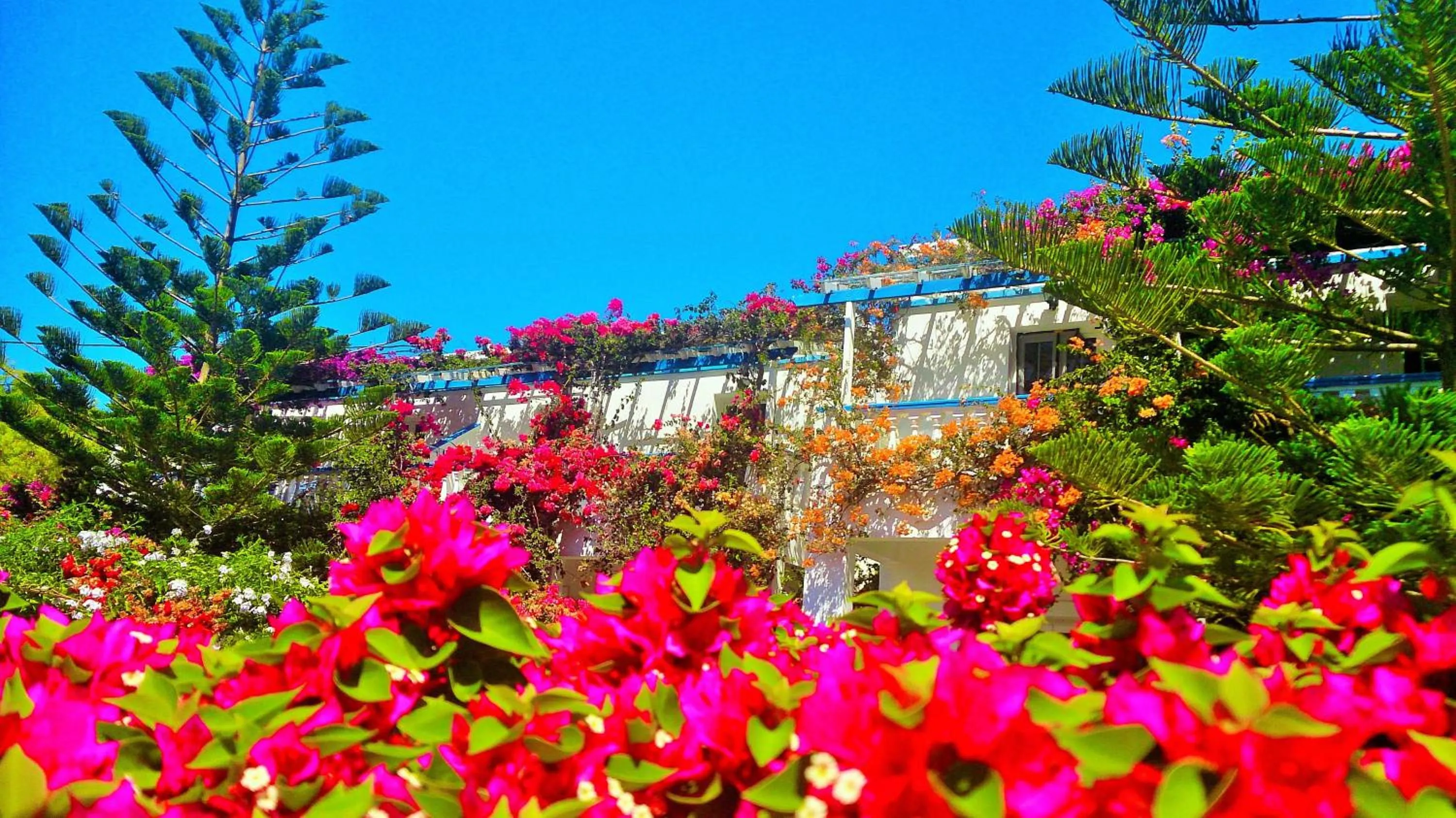 Facade/entrance in Angelika