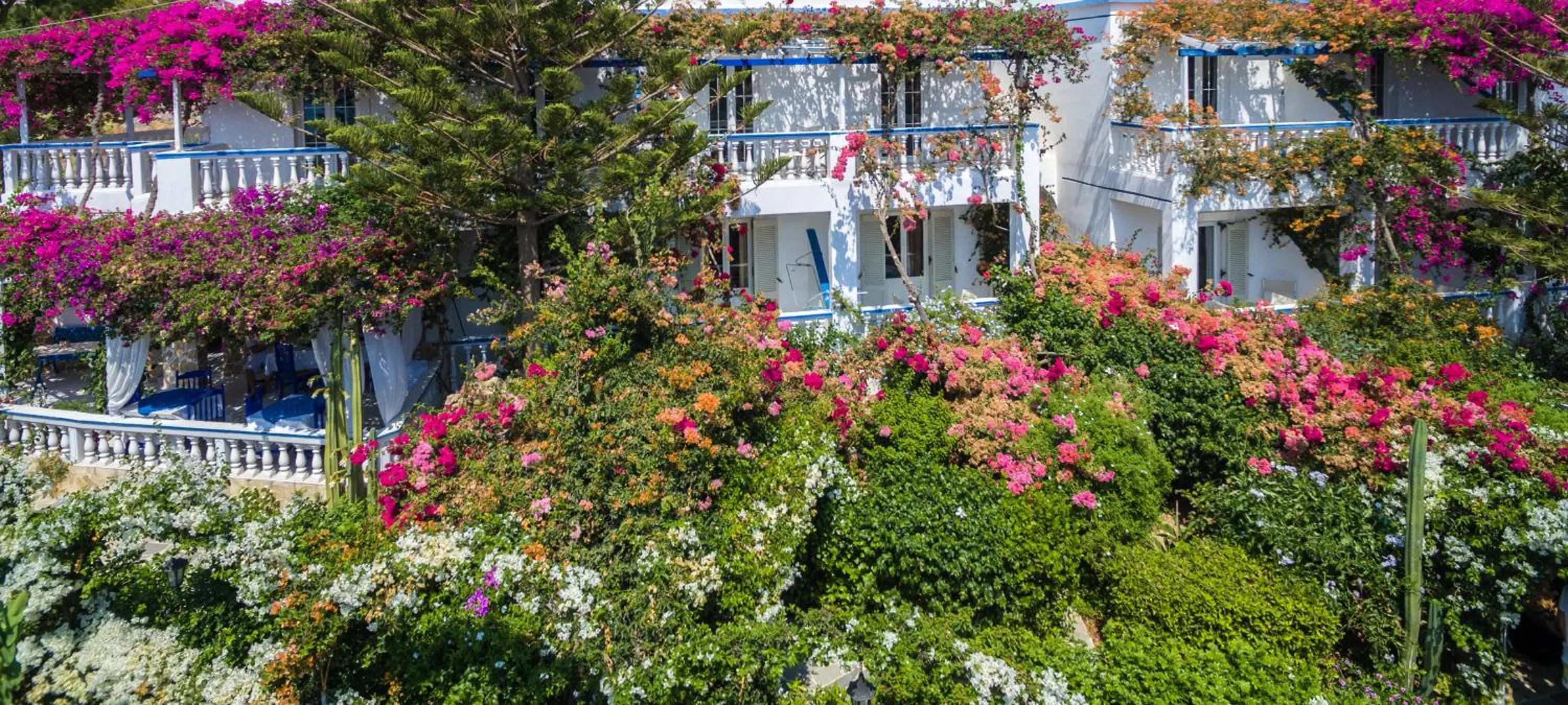 Bird's eye view in Angelika