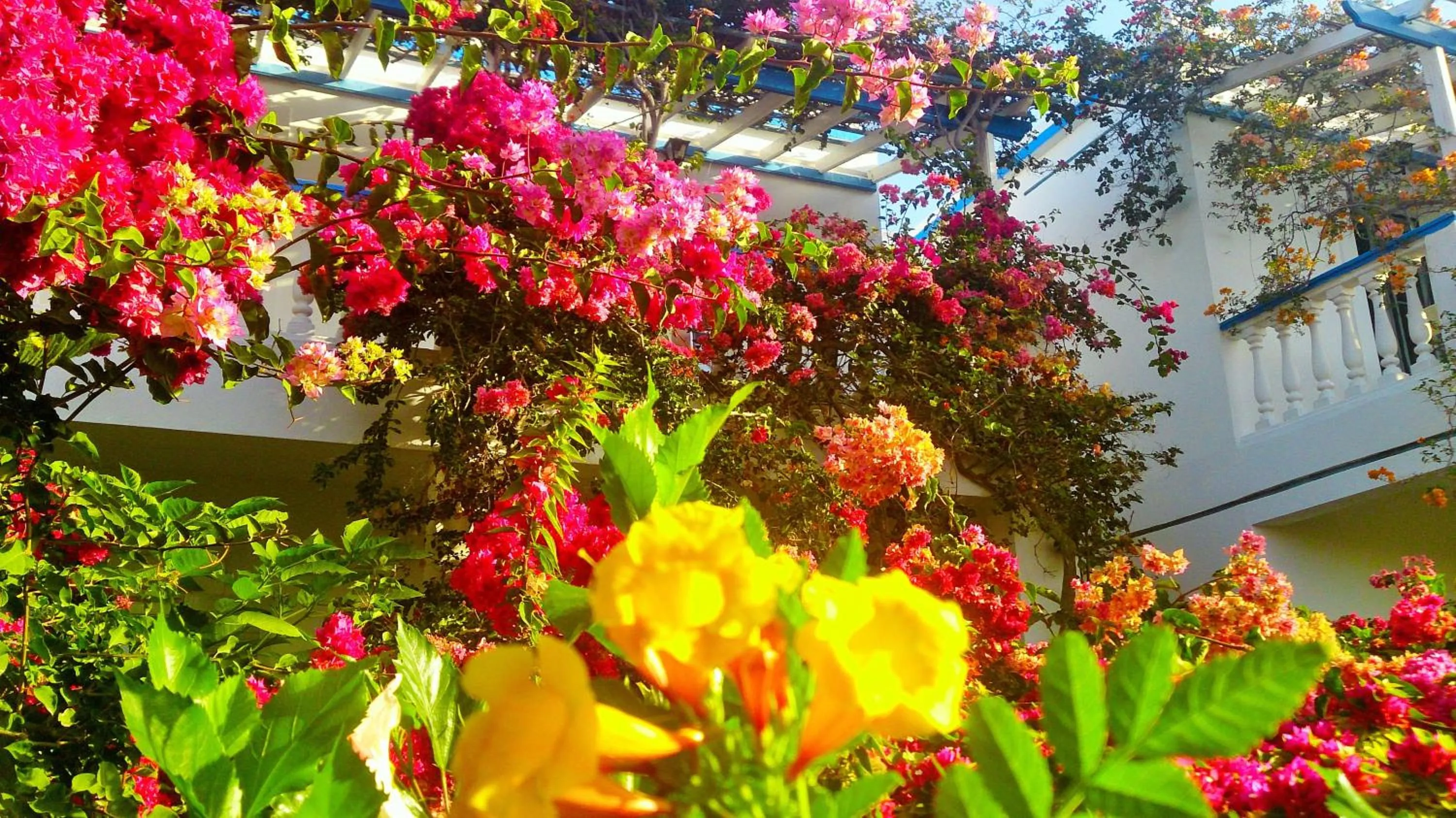 Facade/entrance in Angelika