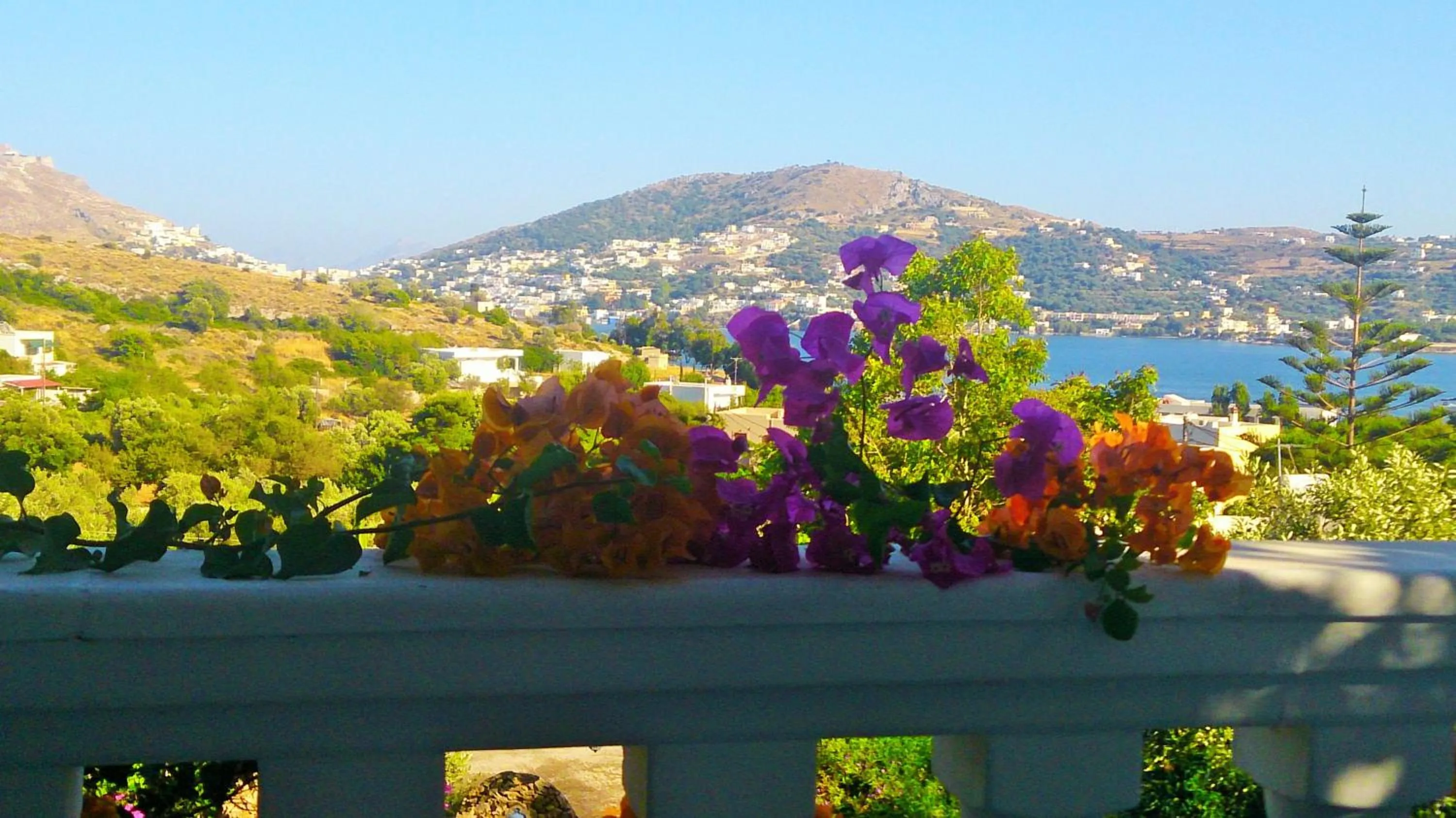 View (from property/room) in Angelika