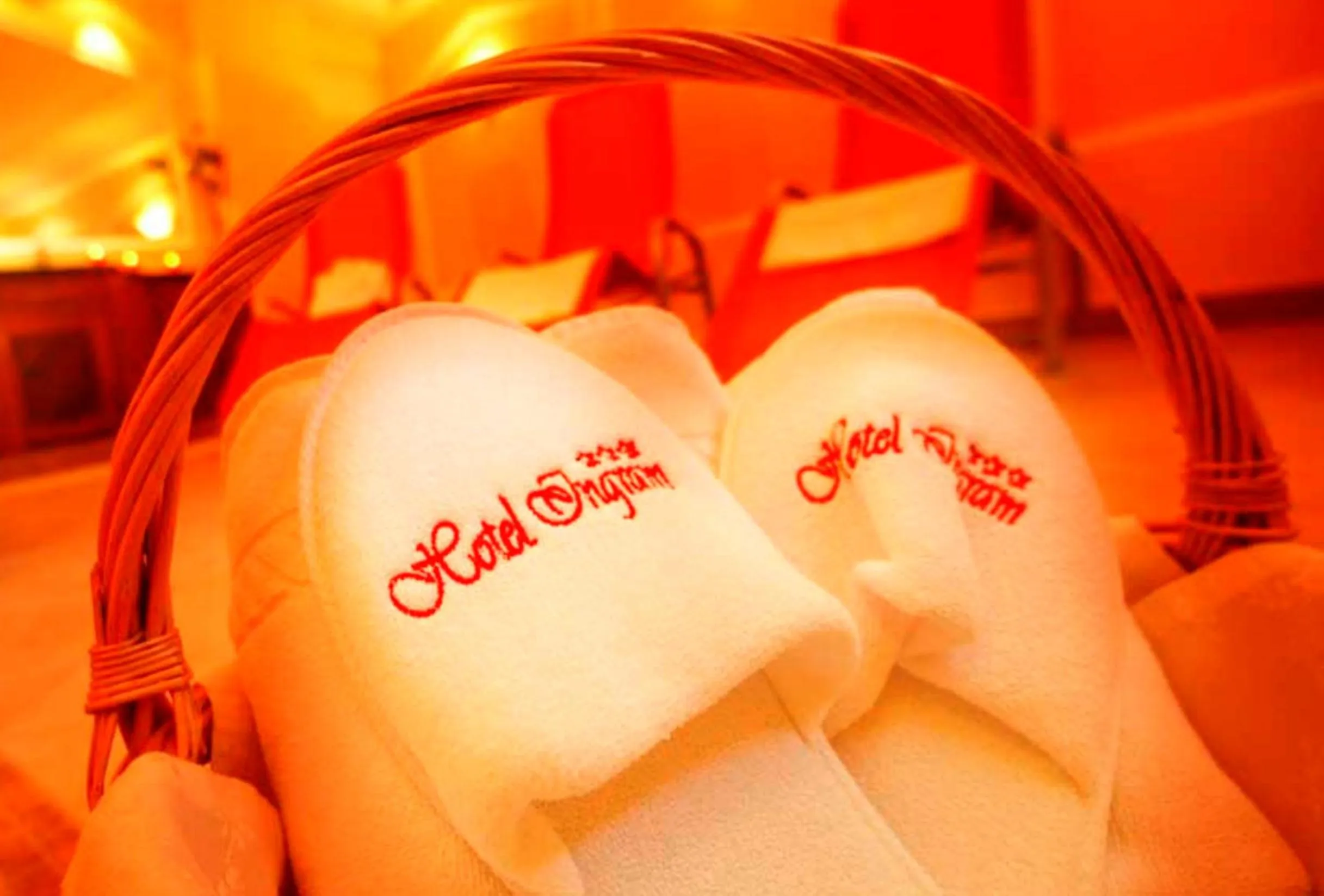 Spa and wellness centre/facilities in Hotel Ingram