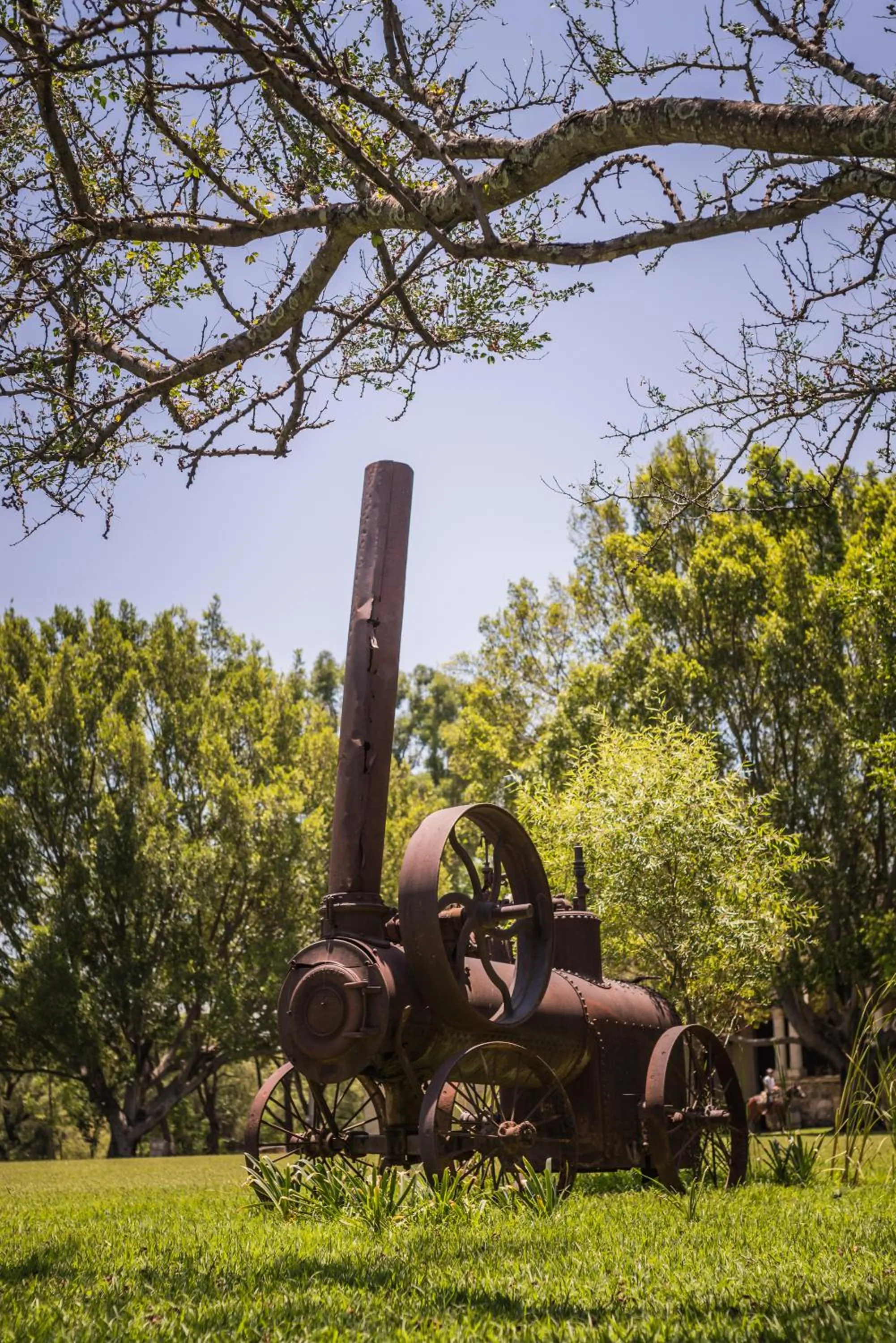 Activities in Hacienda Labor de Rivera Hotel Boutique & Eventos