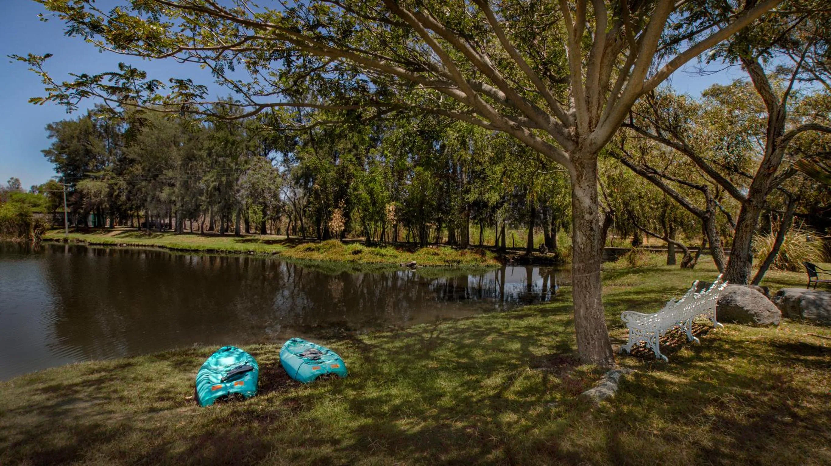 Garden in Hacienda Labor de Rivera Hotel Boutique & Eventos