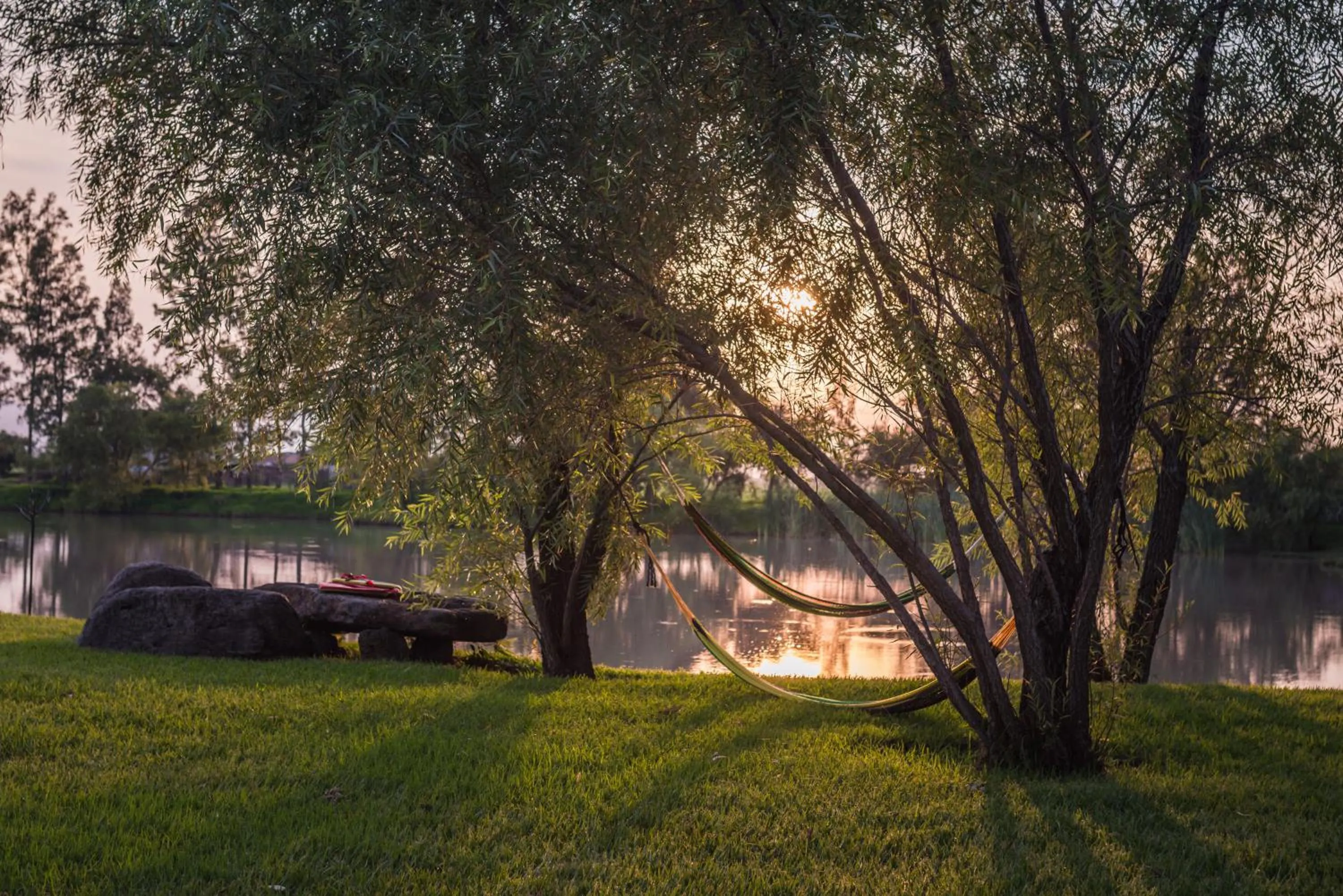 Spring in Hacienda Labor de Rivera Hotel Boutique & Eventos