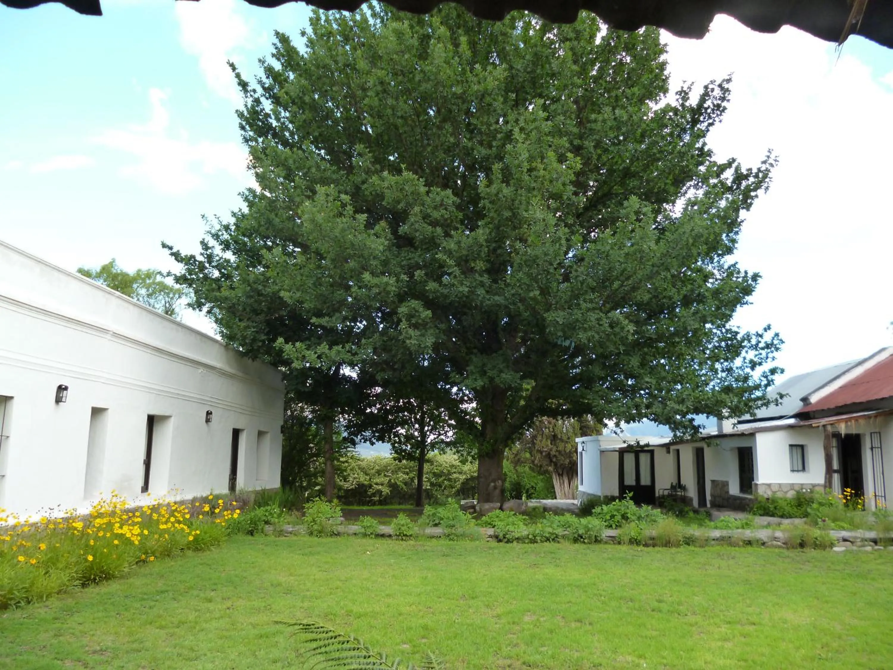 Day in Estancia Las Tacanas