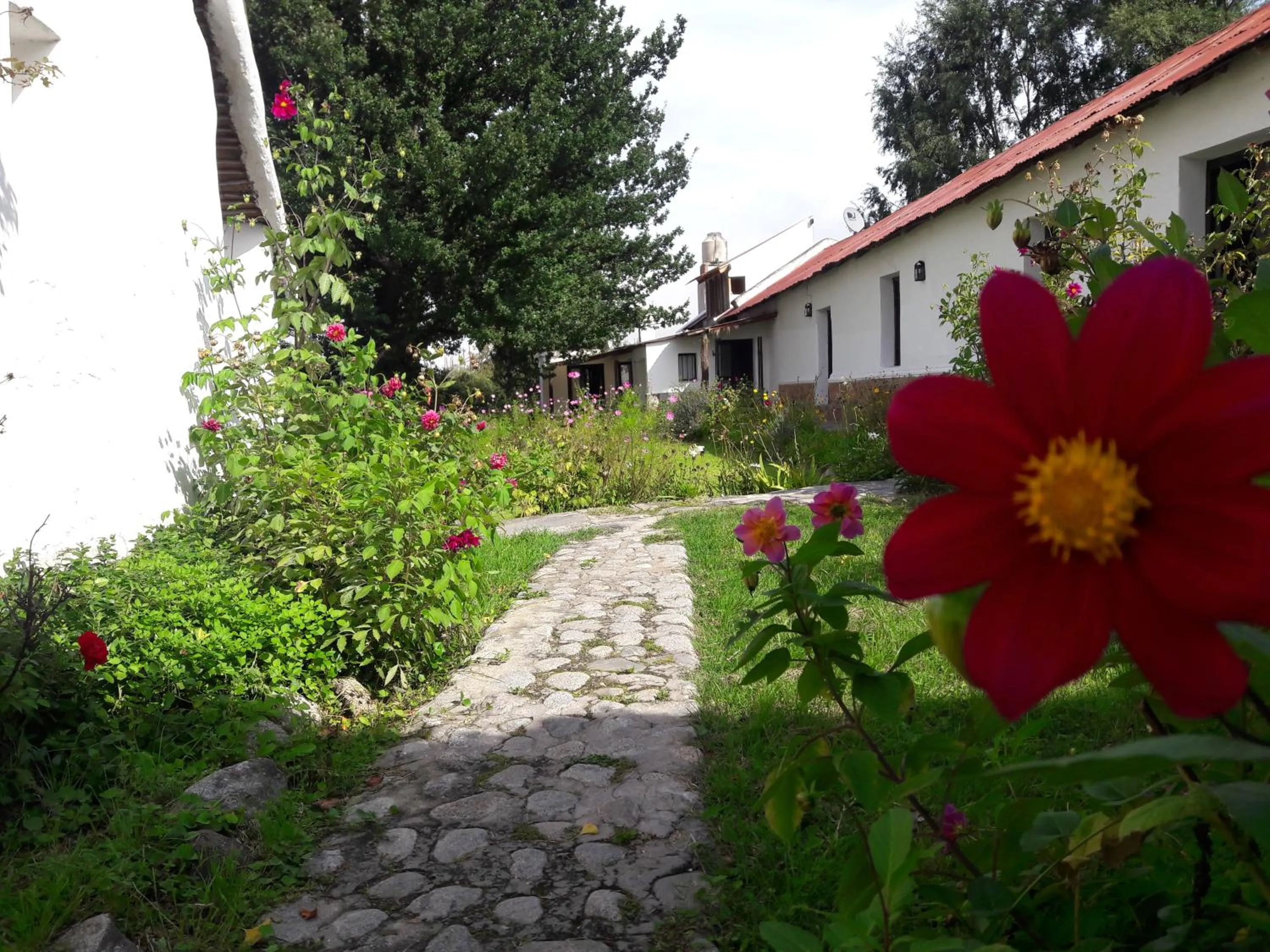Decorative detail in Estancia Las Tacanas