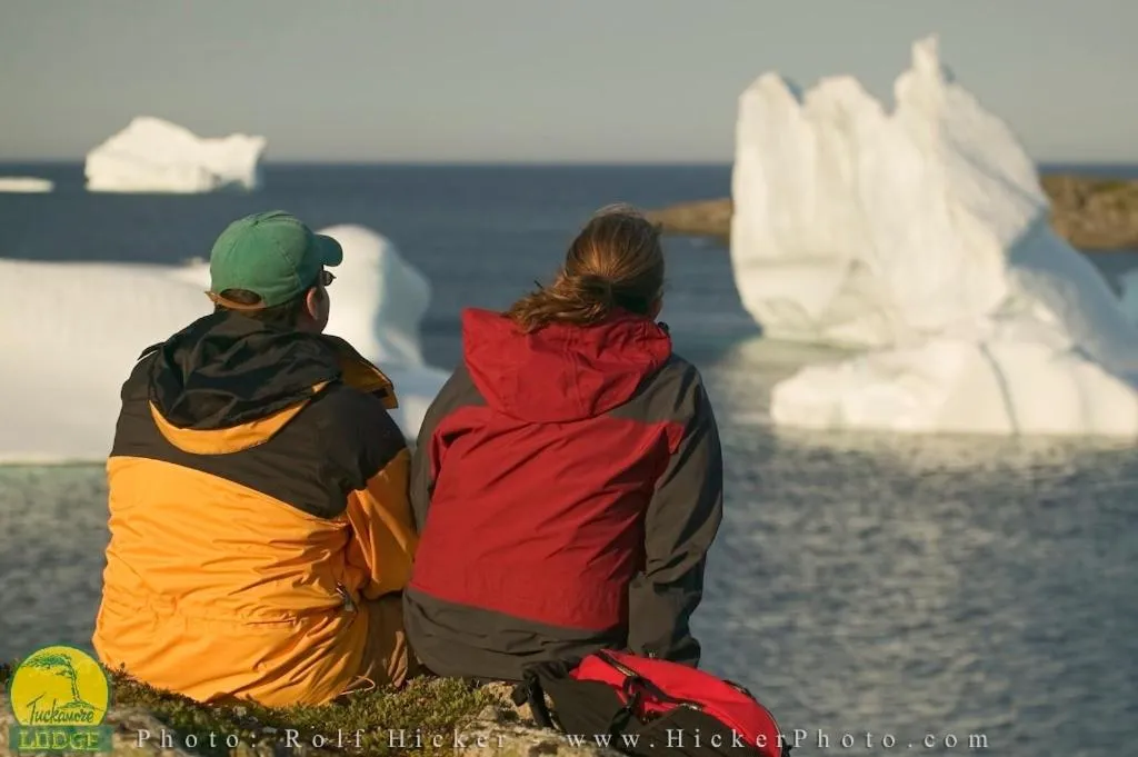 View (from property/room) in Tuckamore Lodge