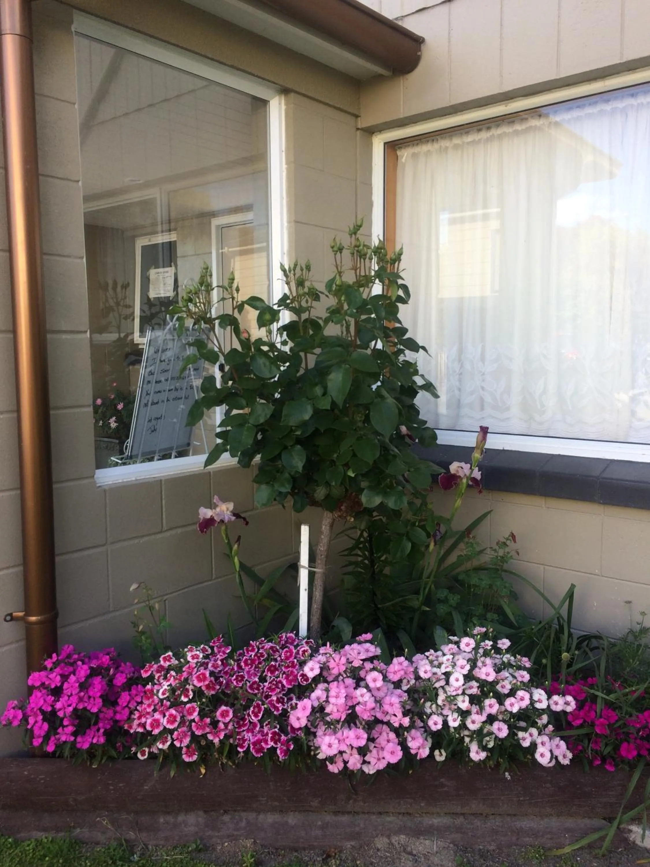 Spring in Brook House B&B & Cottages