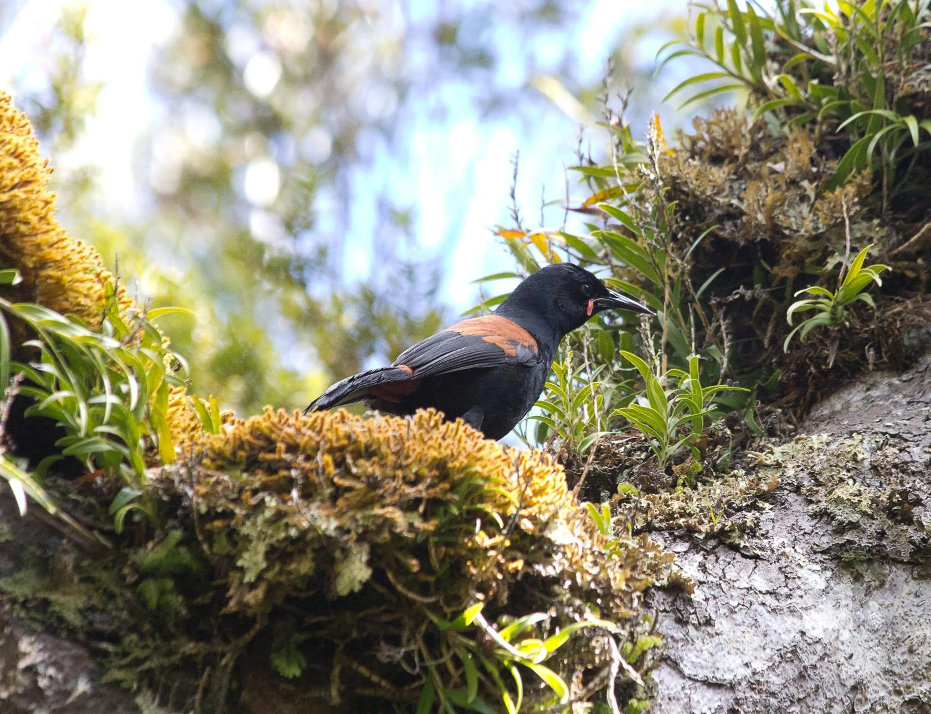 Natural landscape in Kowhai Lane Lodge