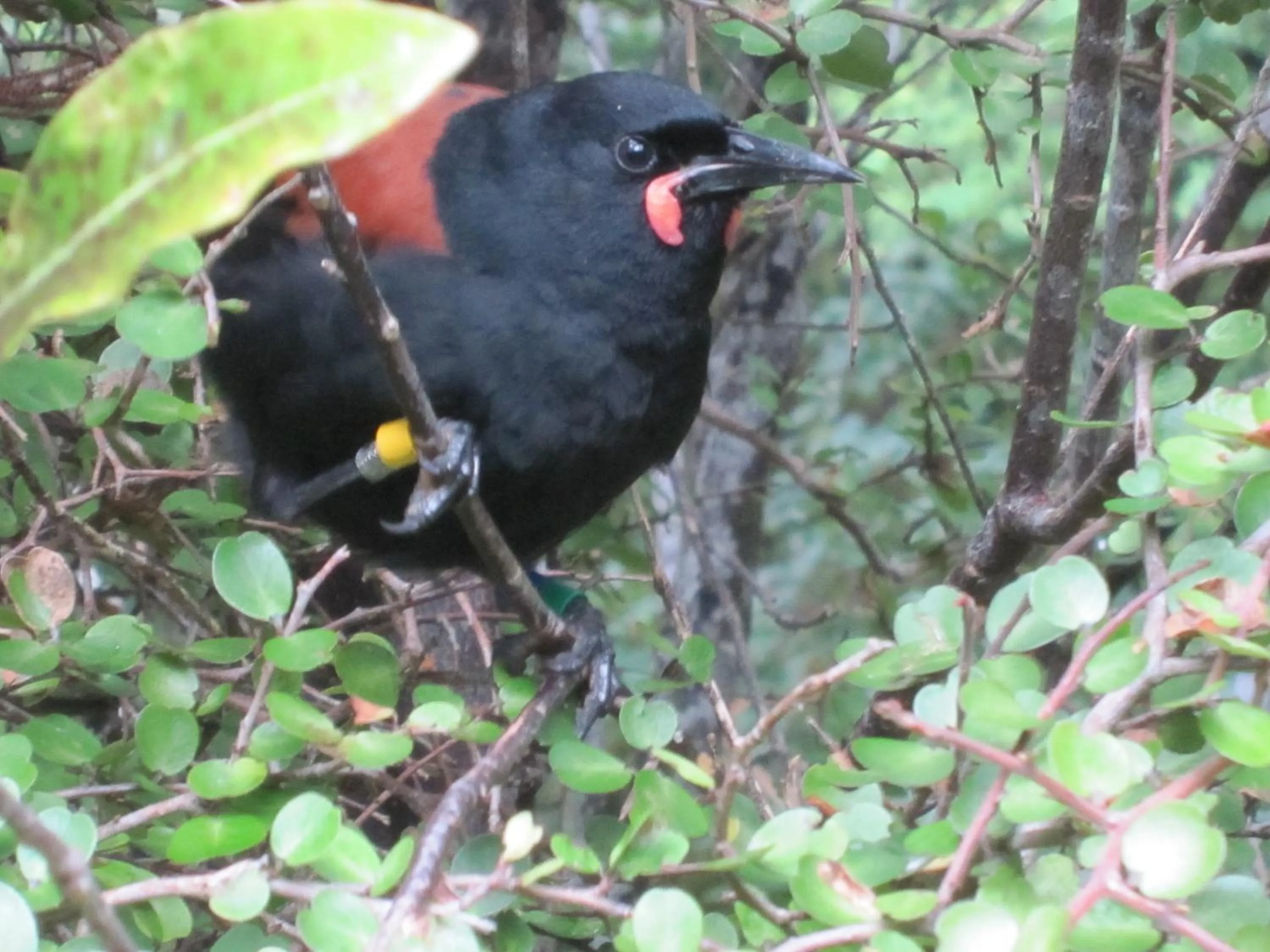 Natural landscape in Kowhai Lane Lodge