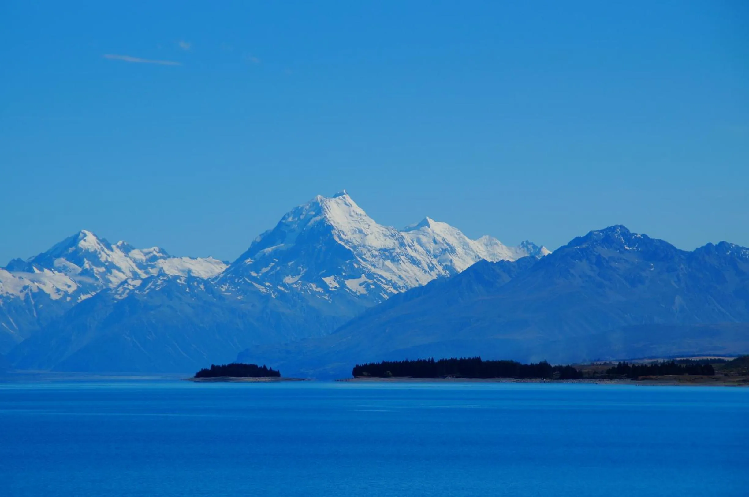 Day in Olive House Bed and Breakfast