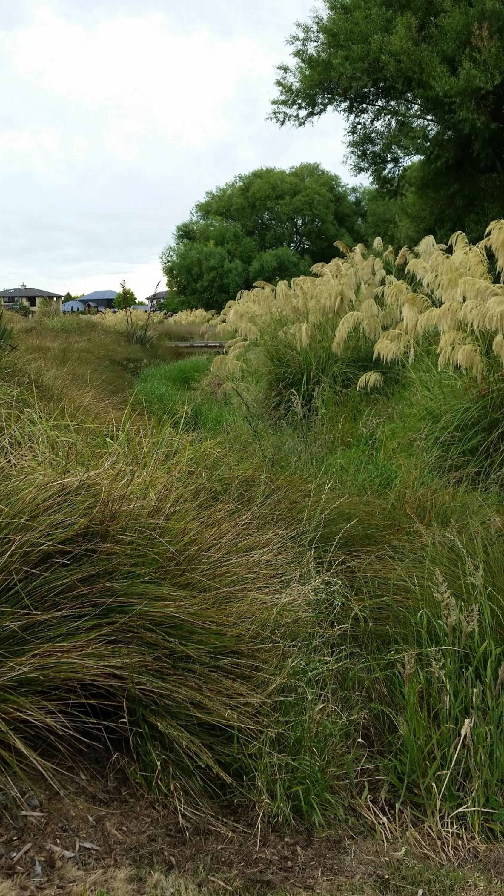 Natural landscape in Olive House Bed and Breakfast