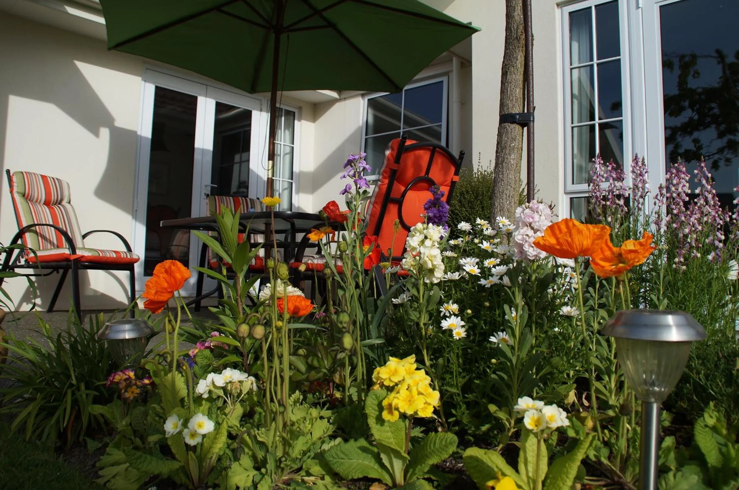 Garden in Olive House Bed and Breakfast