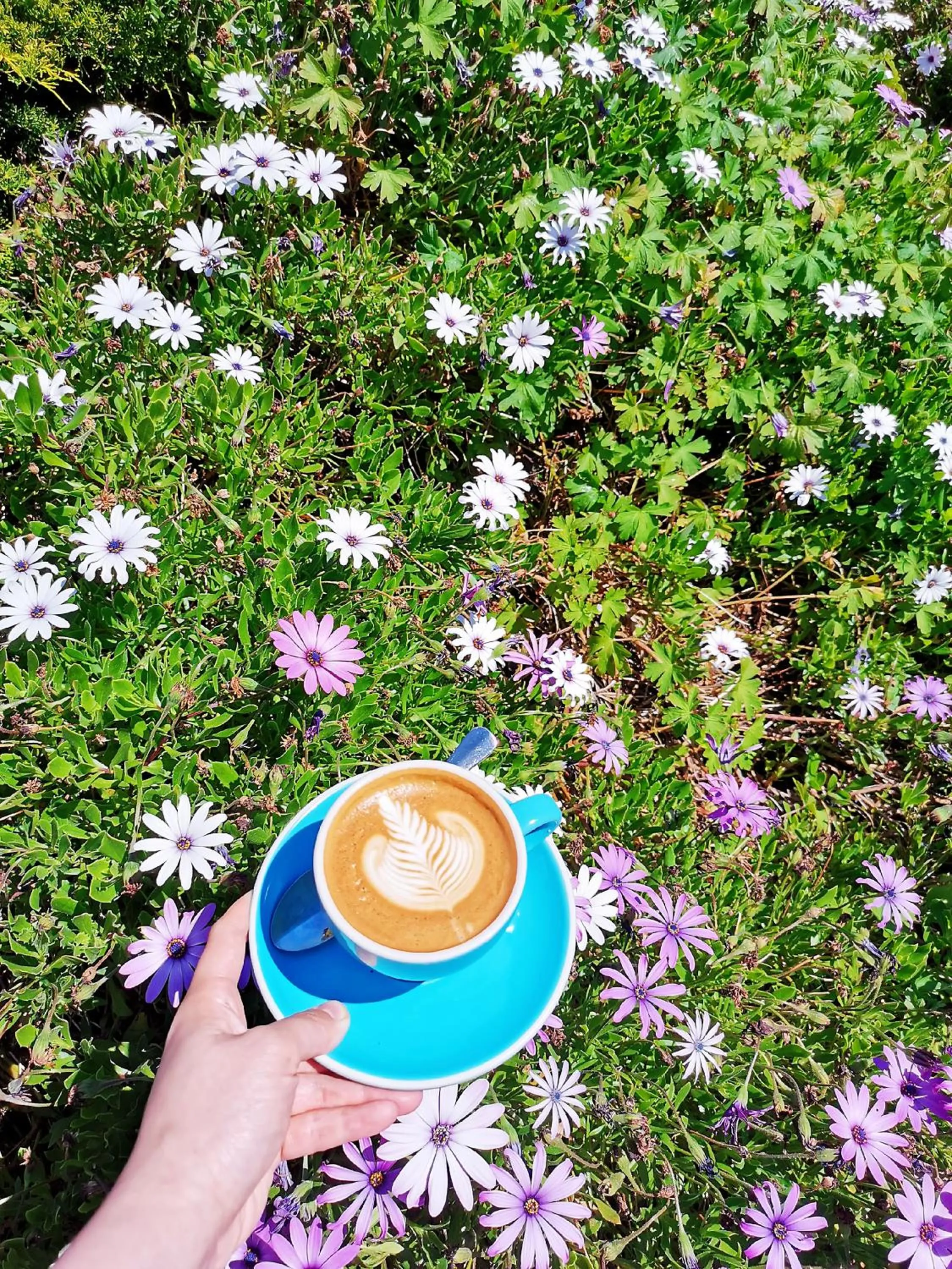 Alpers Lodge & Conference Centre