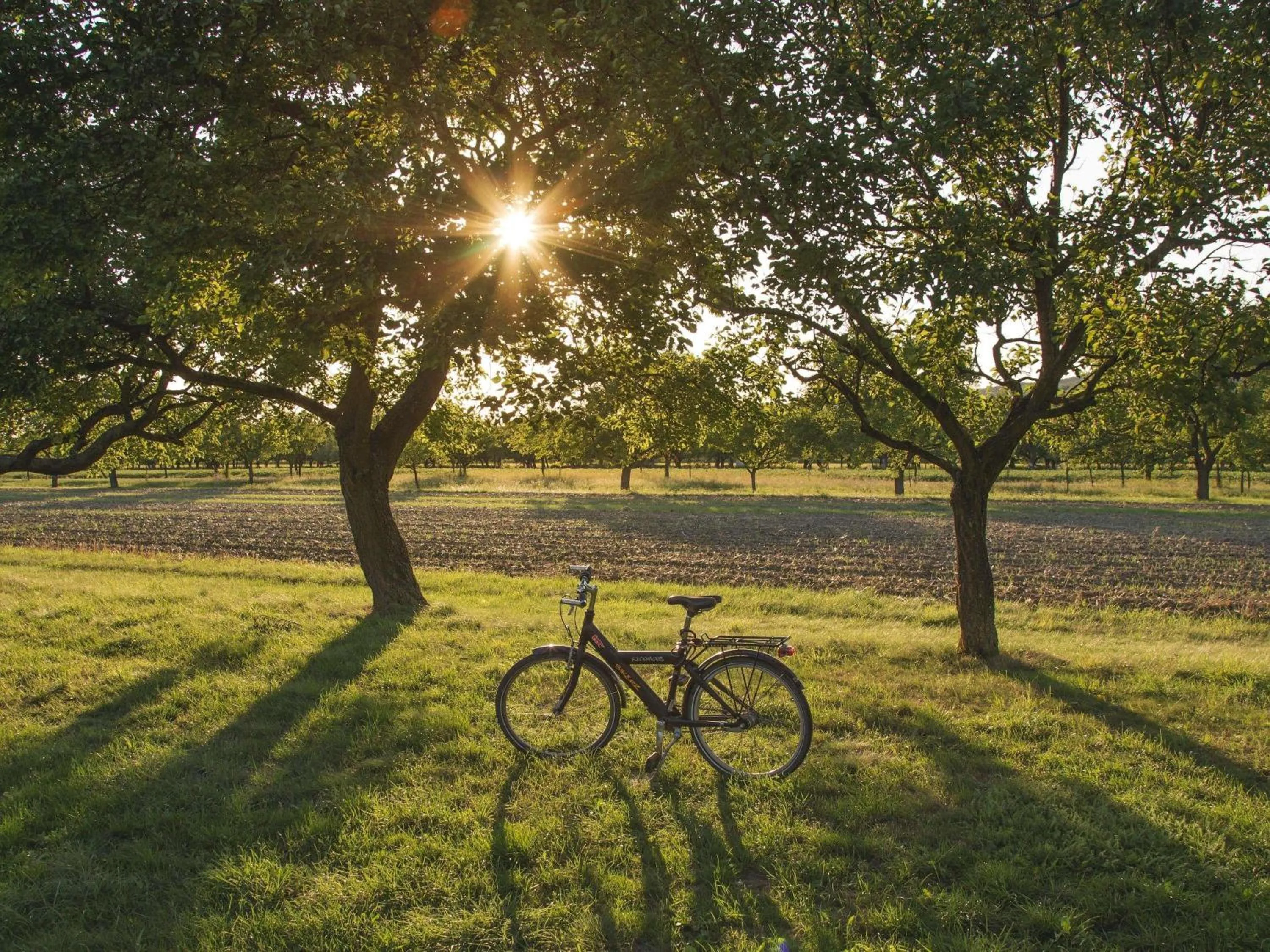 Other in Veranda High Resort Chiang Mai - MGallery Collection, Accor Hotel